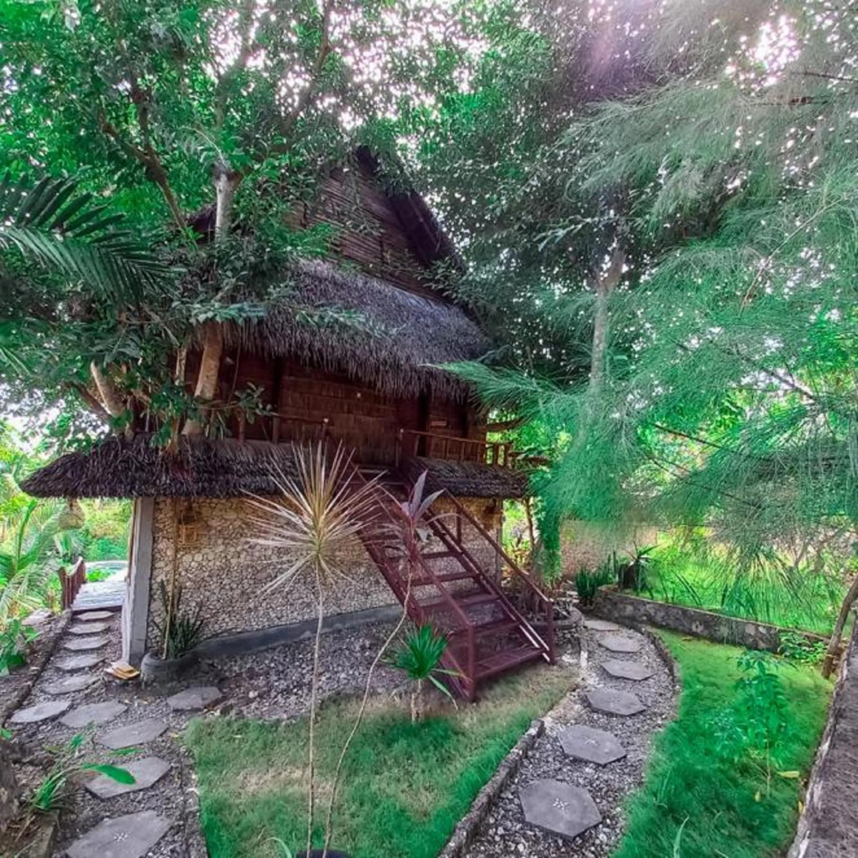 Facade/entrance in Gading Tree House