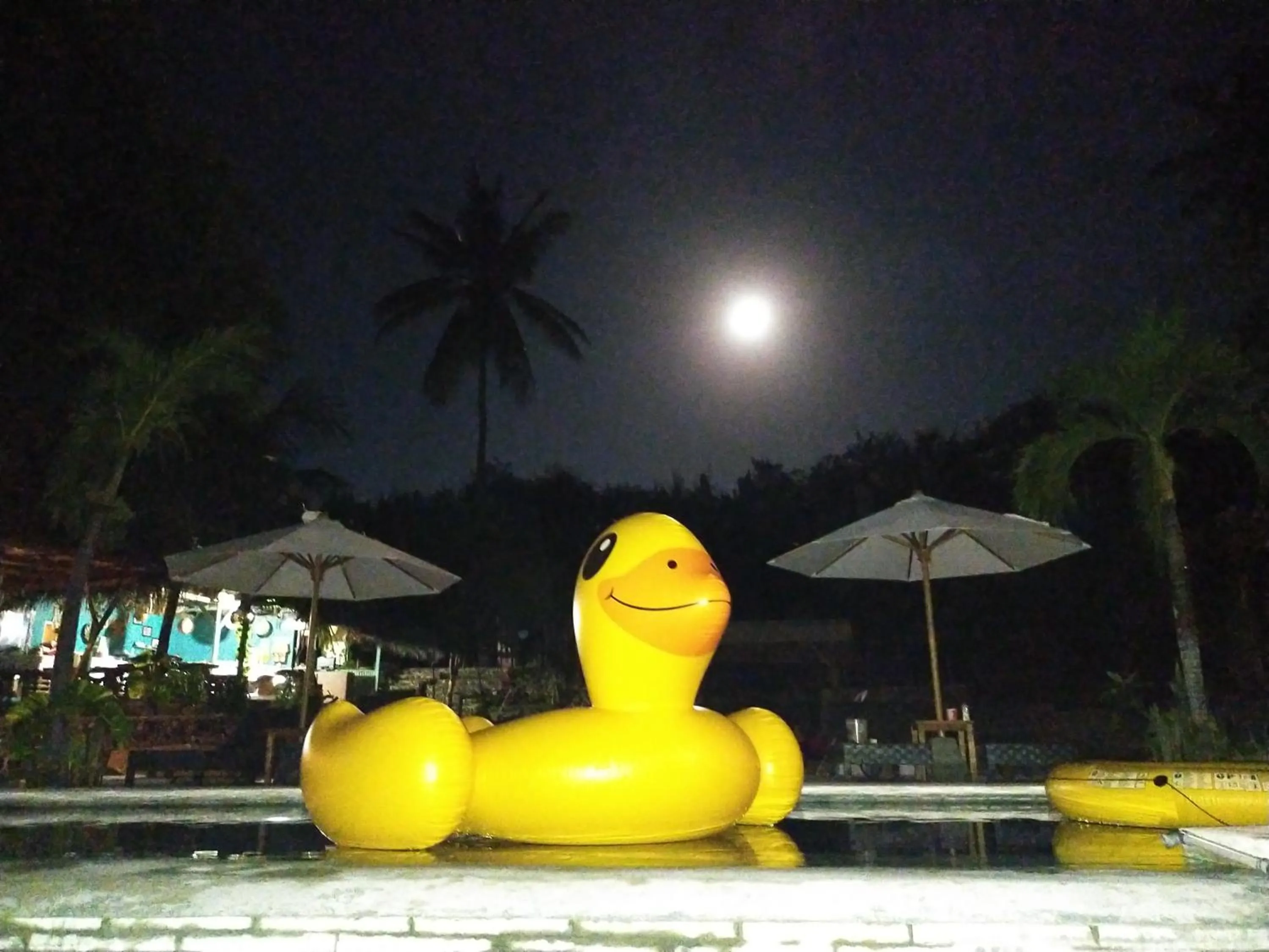 Night in Gading Tree House