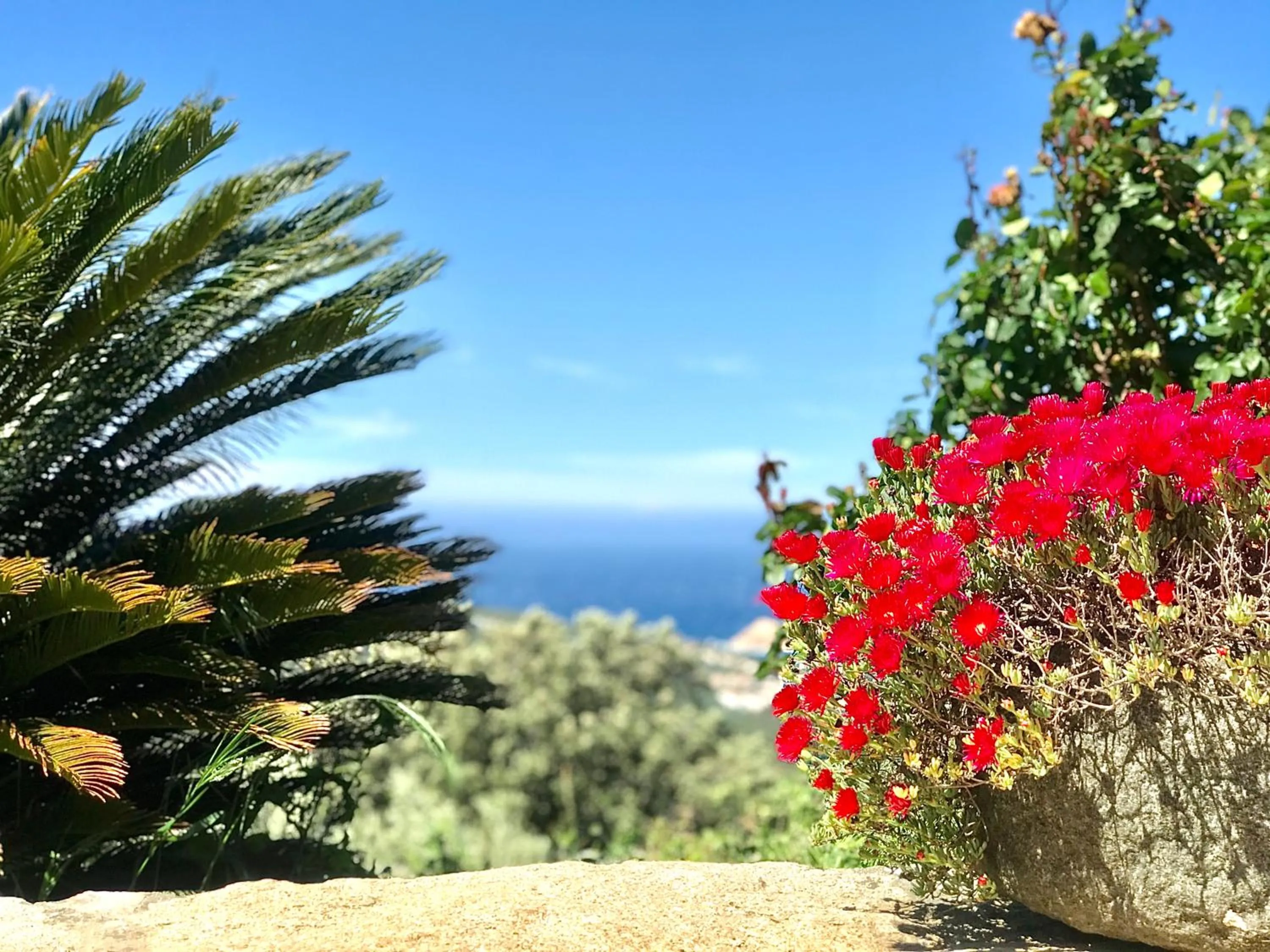 Sea View in L'Auberge Sant'Antone