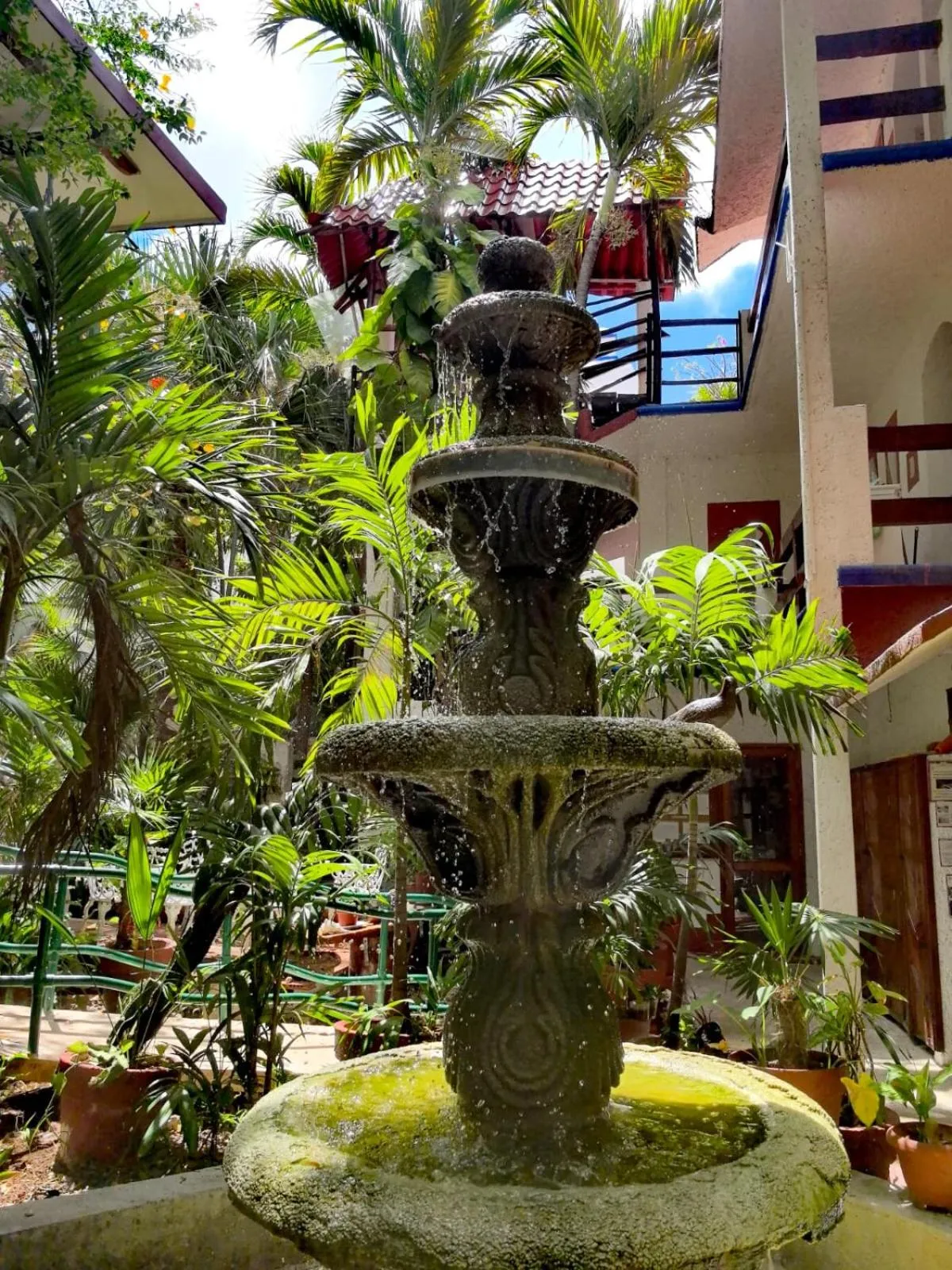 Day in Eco-hotel El Rey del Caribe