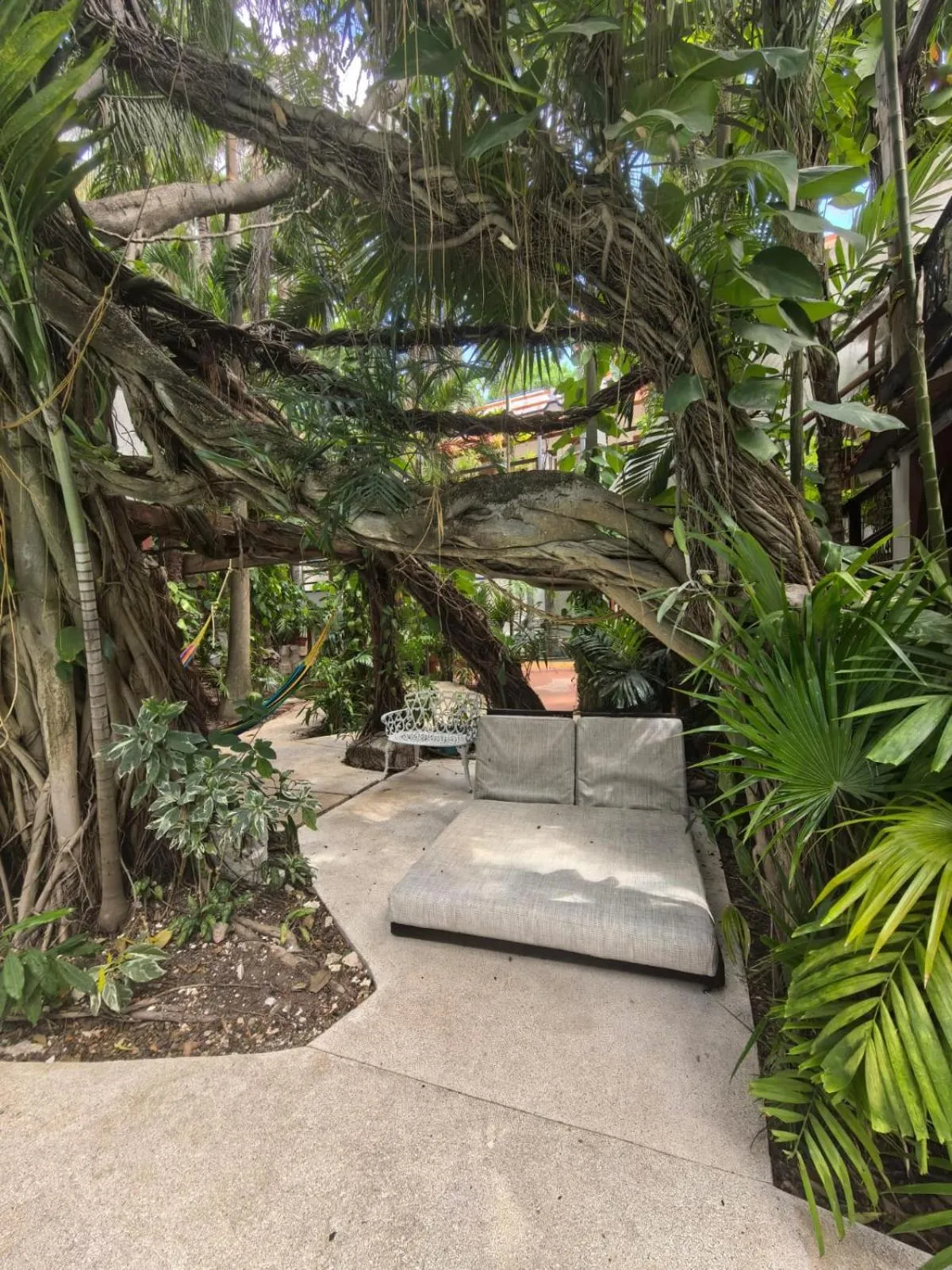 Natural landscape in Eco-hotel El Rey del Caribe