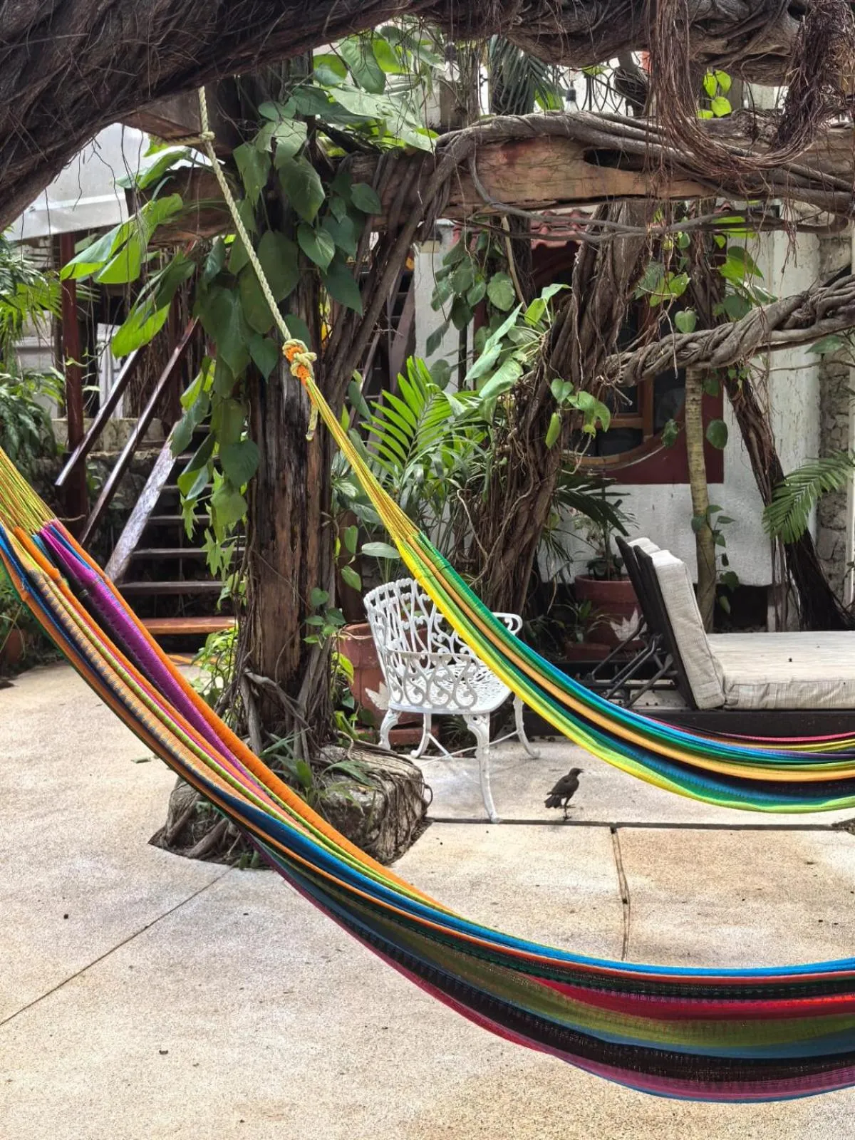 Garden in Eco-hotel El Rey del Caribe