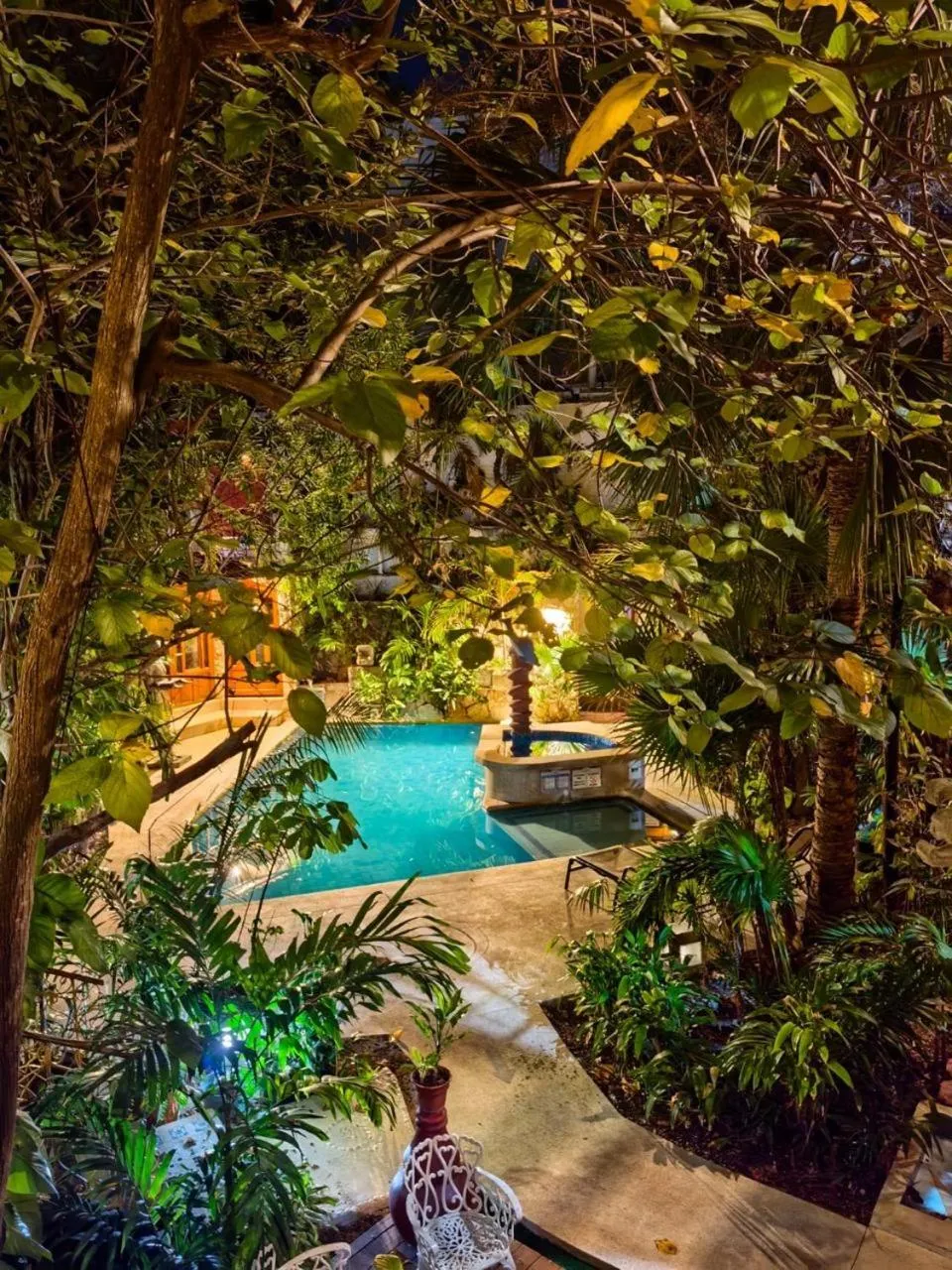 Garden in Eco-hotel El Rey del Caribe