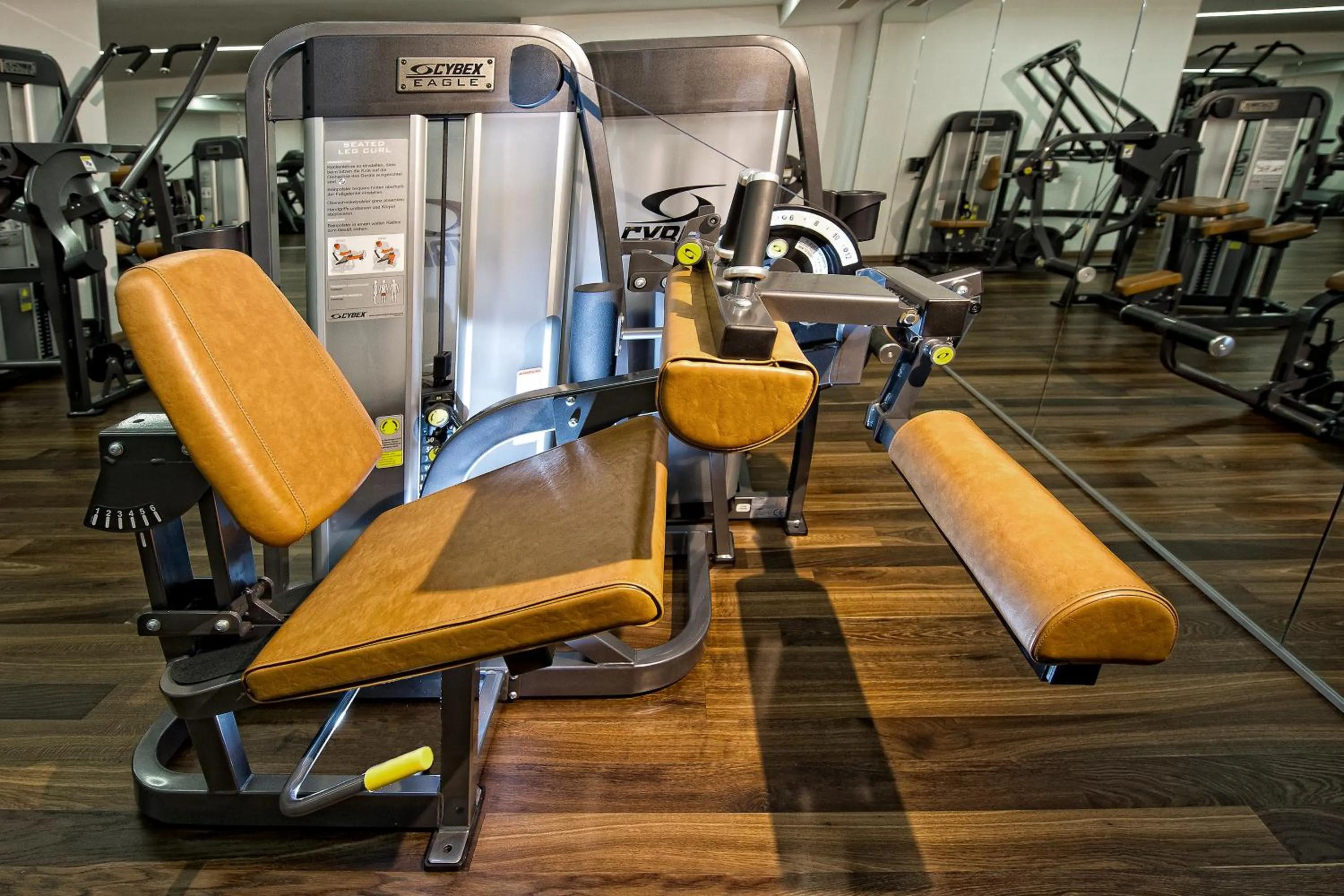 Fitness centre/facilities in Hotel Phoenix