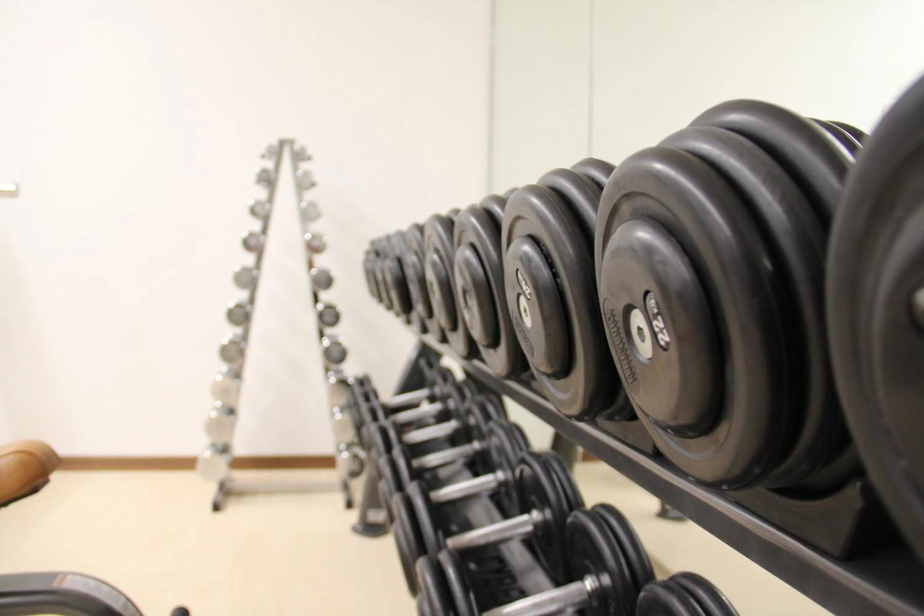 Fitness centre/facilities in Hotel Phoenix