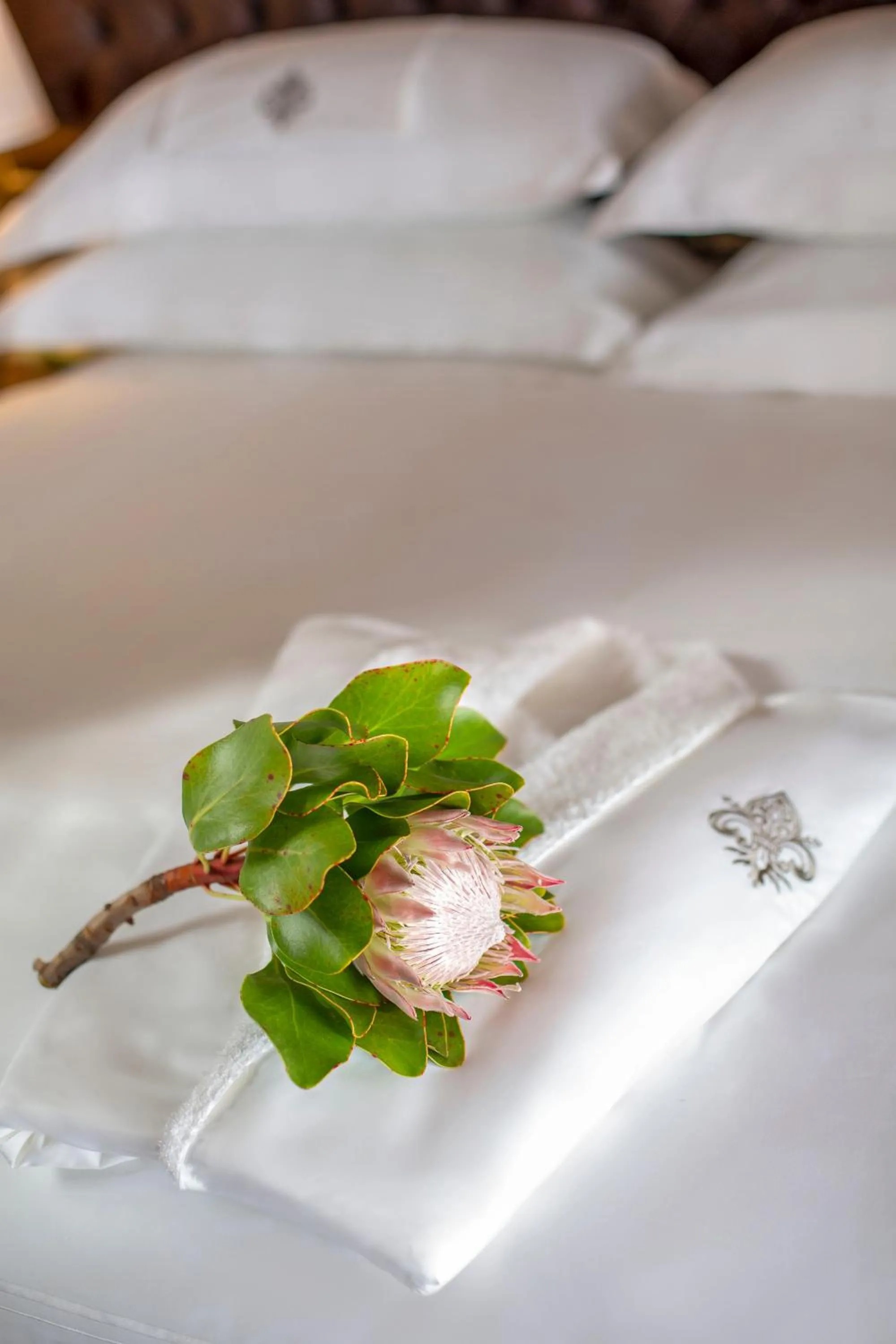 Other in The Giglio Boutique Hotel at Zevenster