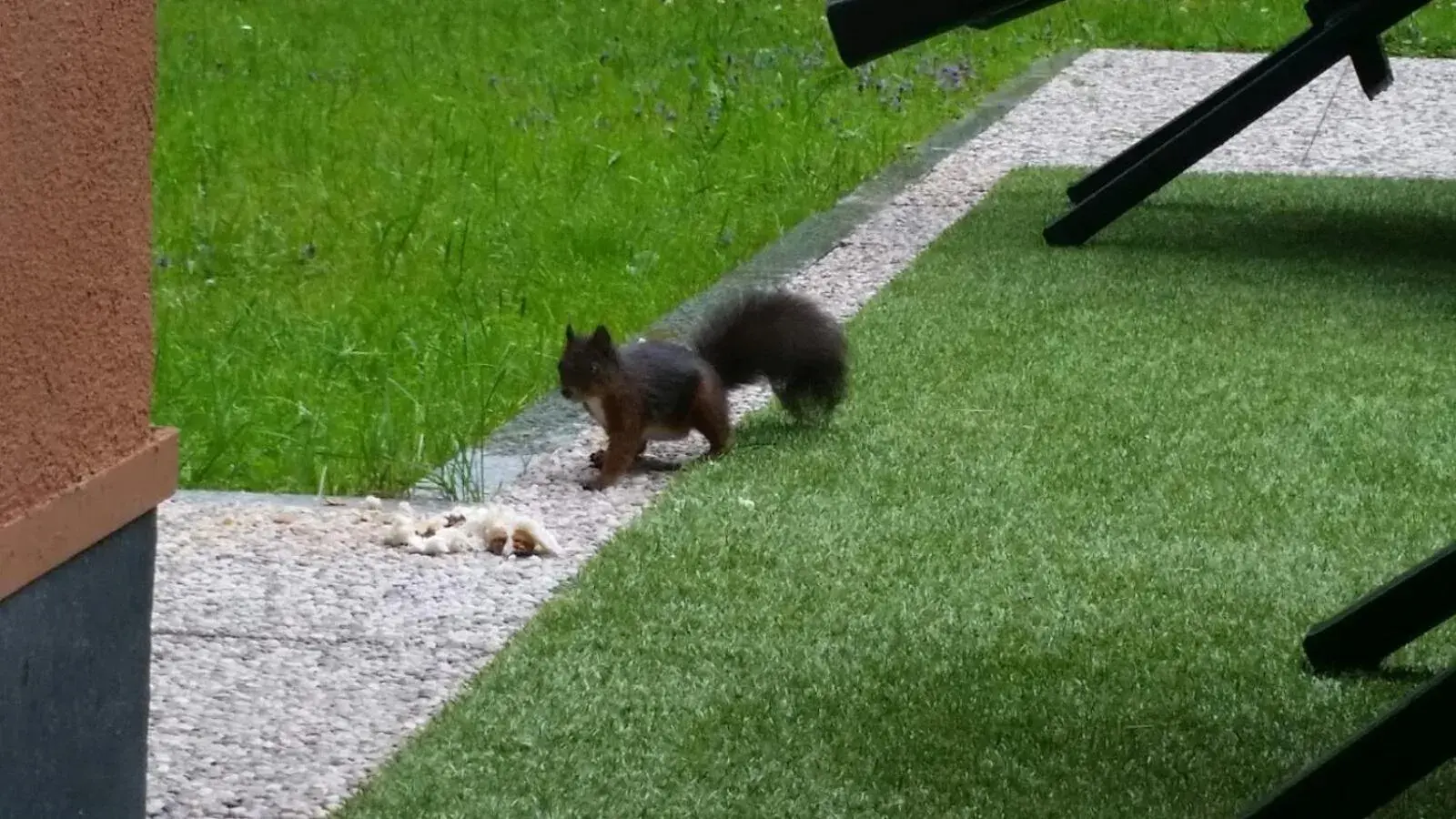 Multiproprietà Rio Falzè Multiproprietà Rio Falzè