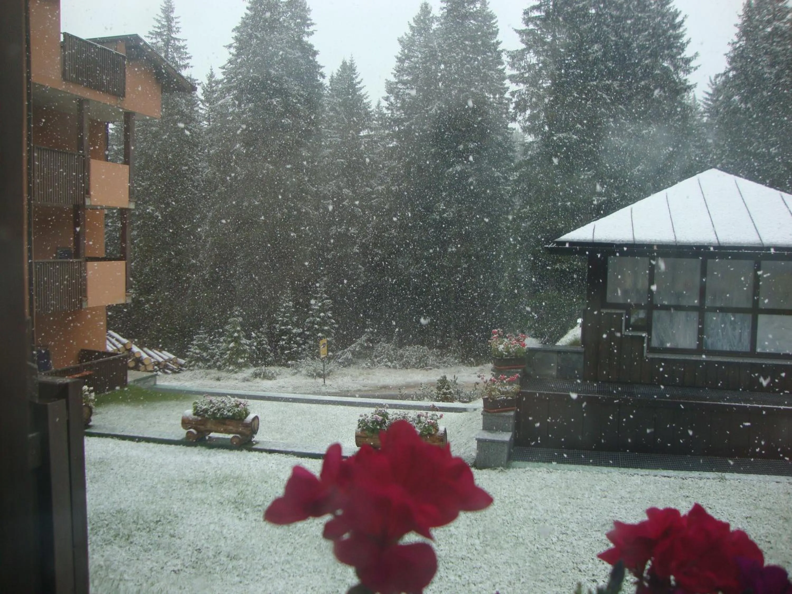 Winter in Multiproprietà Rio Falzè