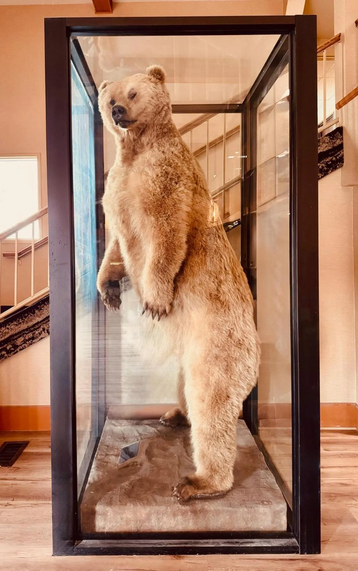 Lobby or reception in Wingate by Wyndham Anchorage Downtown - Ship Creek