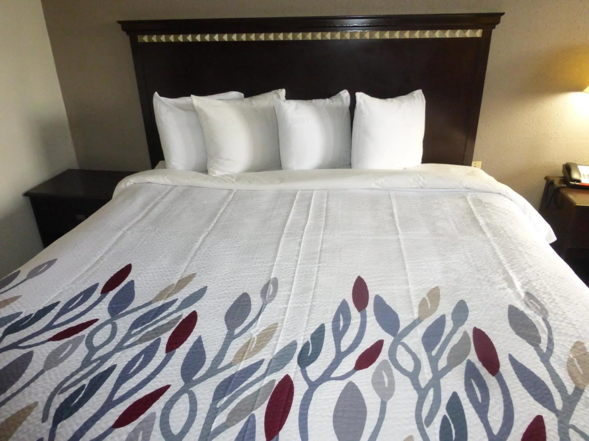 Bedroom in Red Roof Inn Evergreen