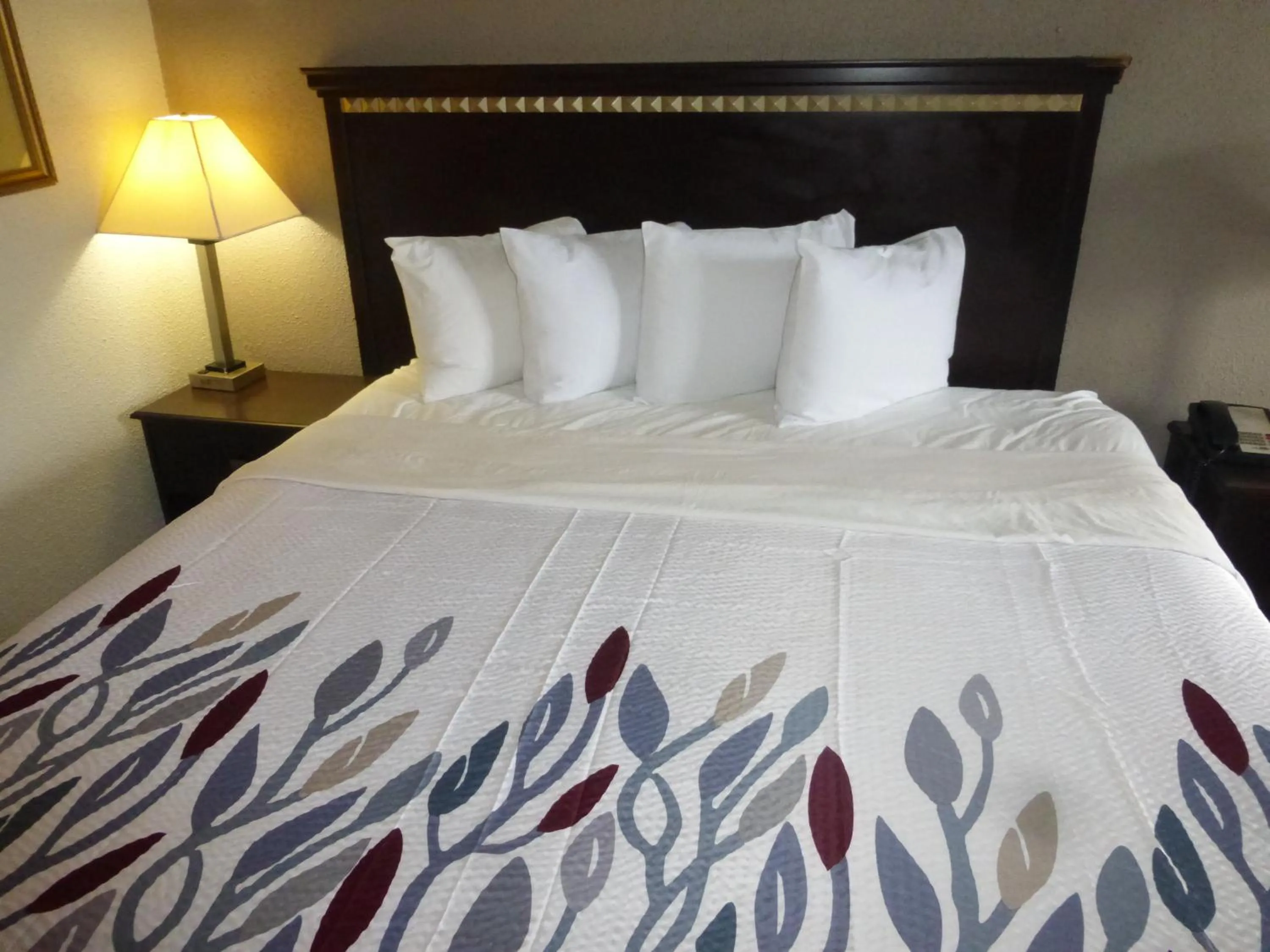 Bedroom in Red Roof Inn Evergreen