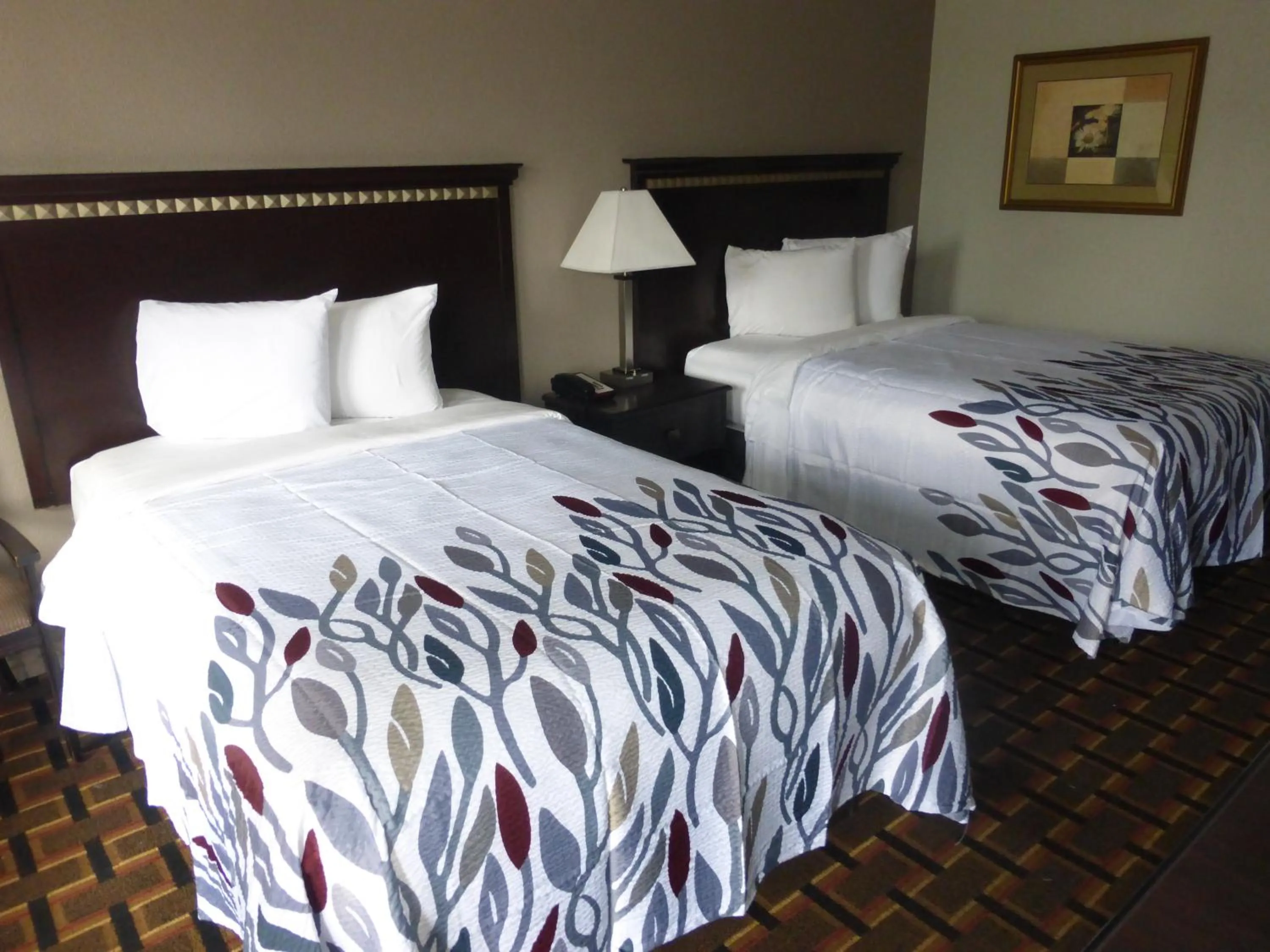 Photo of the whole room in Red Roof Inn Evergreen