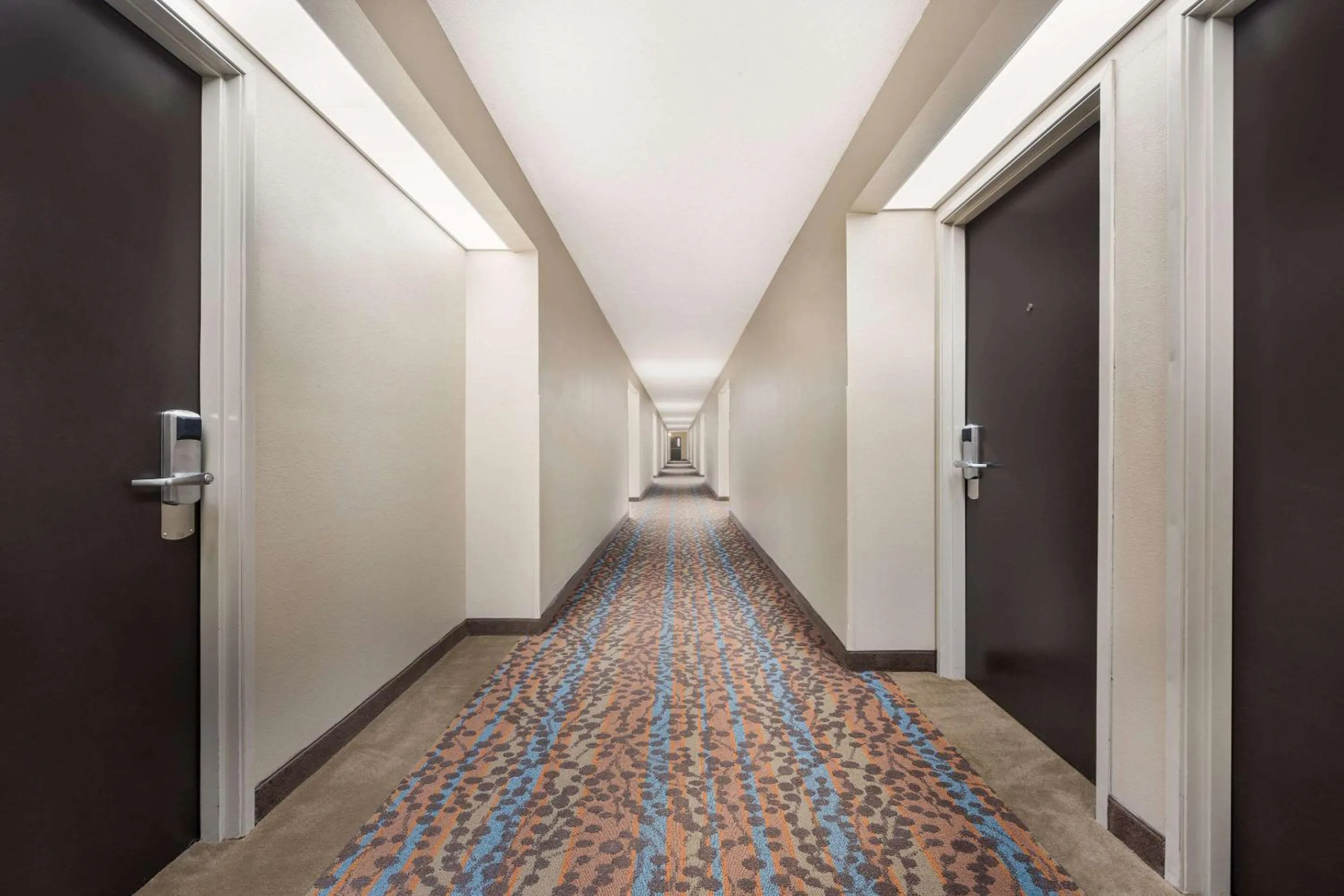 Other in Sleep Inn Athens I-65