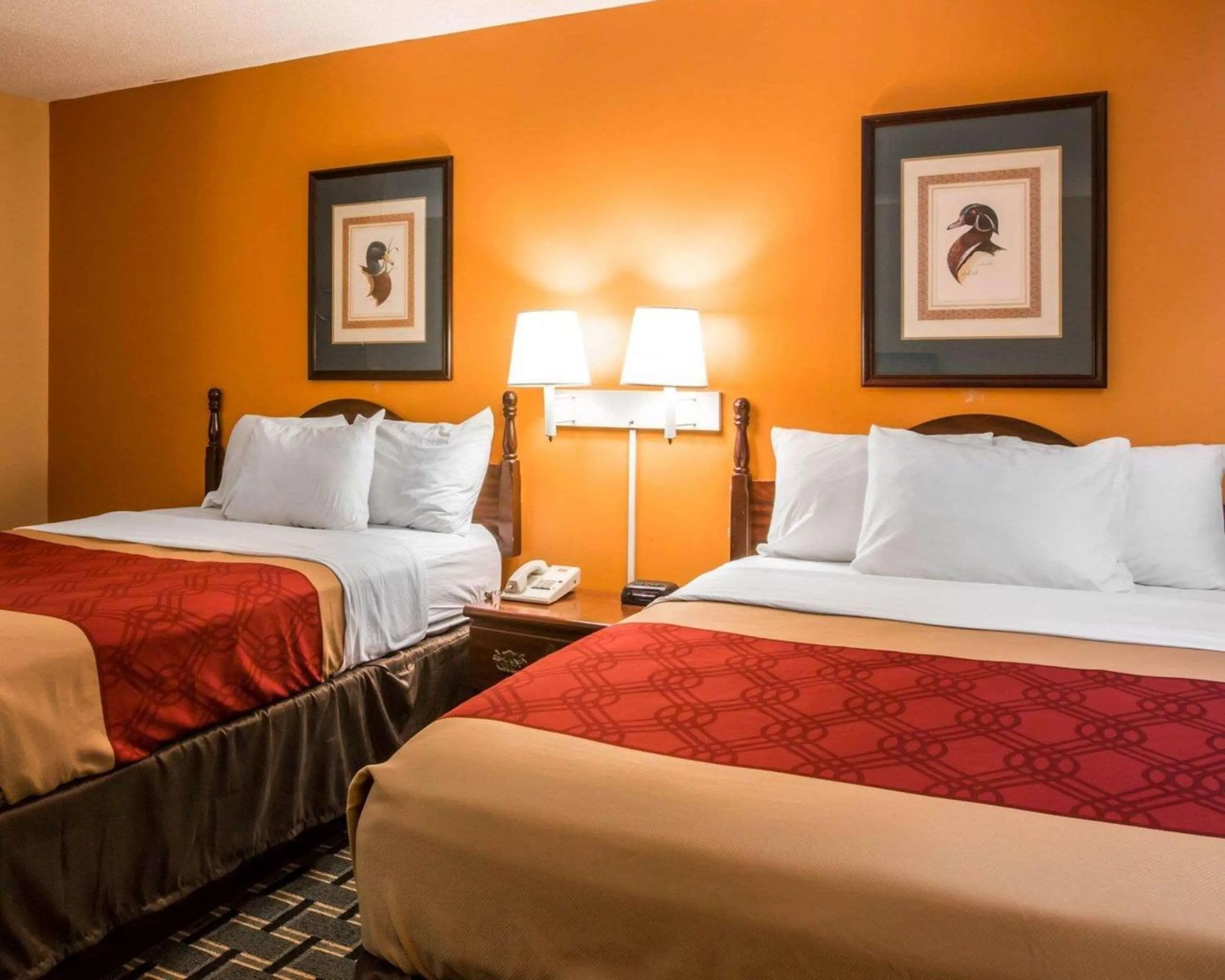 Photo of the whole room, Bed in Econo Lodge Eufaula South