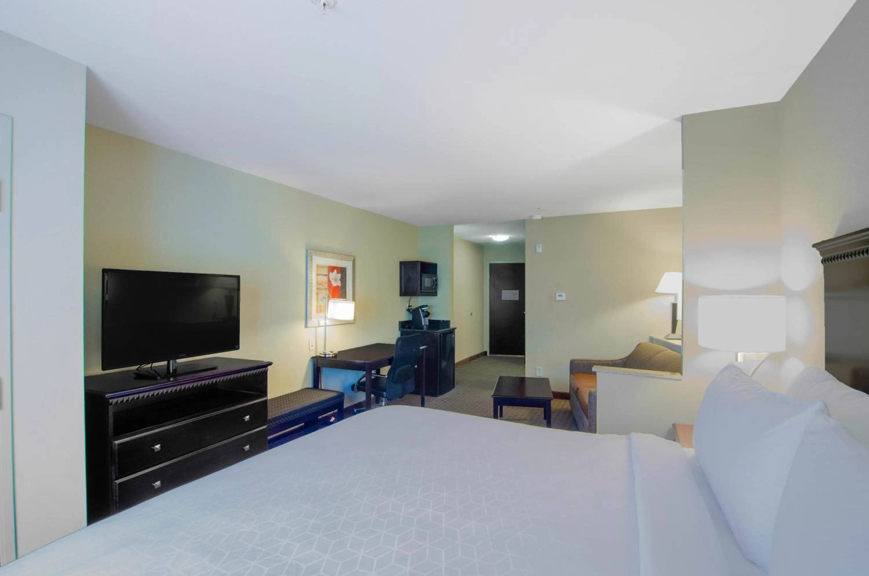 TV and multimedia, Bed in Comfort Suites Mobile-South Alabama University Area
