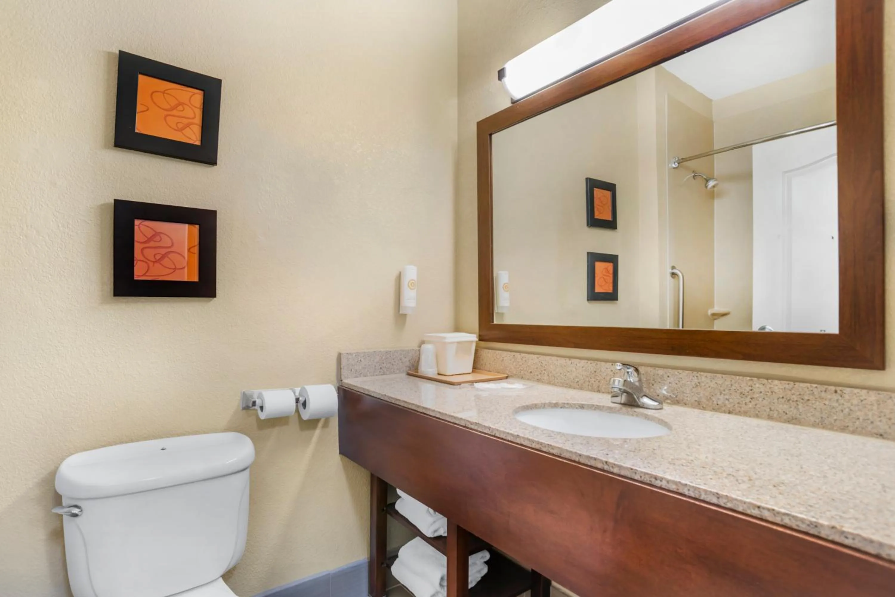 Bathroom in Comfort Suites Montgomery East Monticello Dr