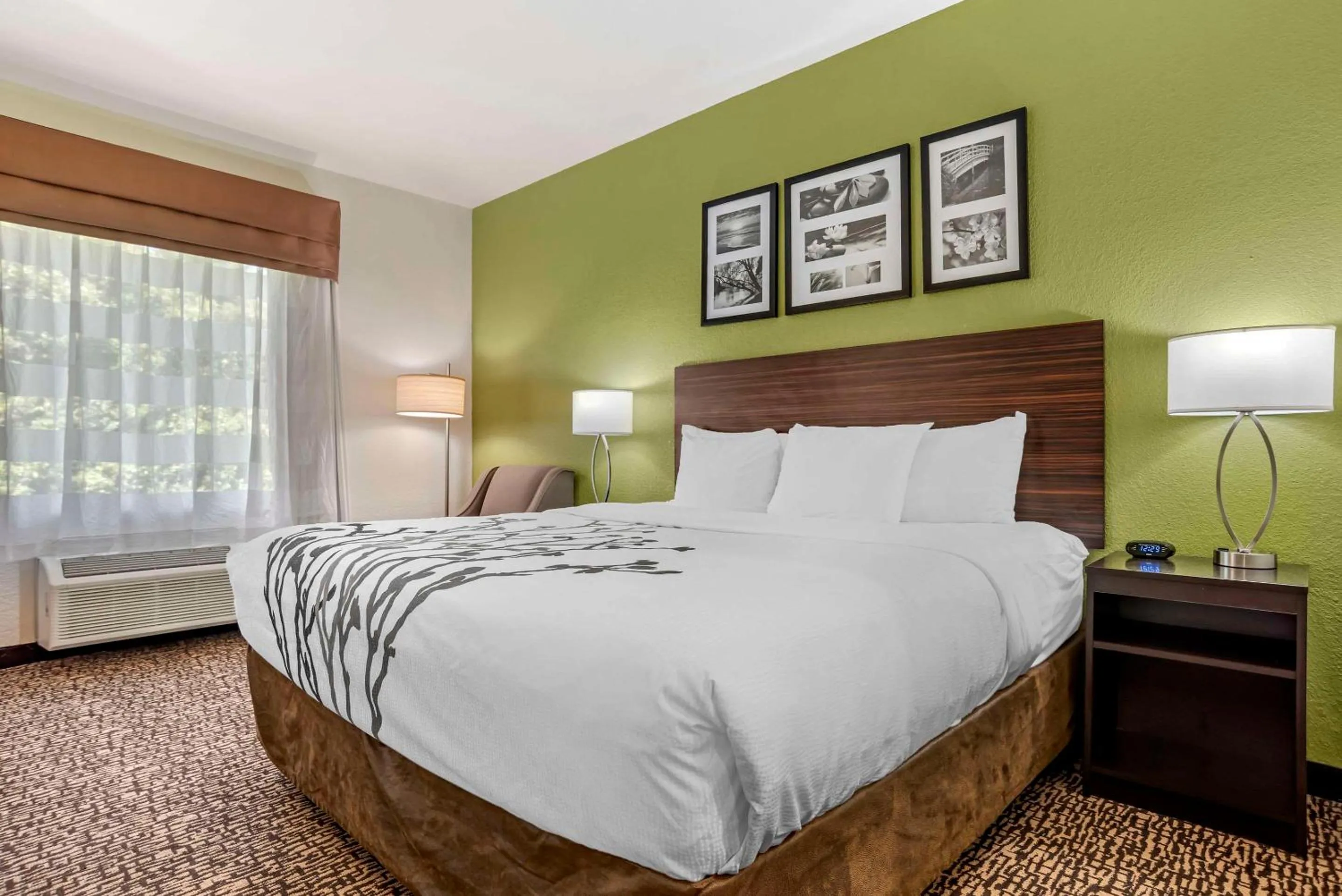 Bedroom, Bed in Sleep Inn & Suites Montgomery East I-85