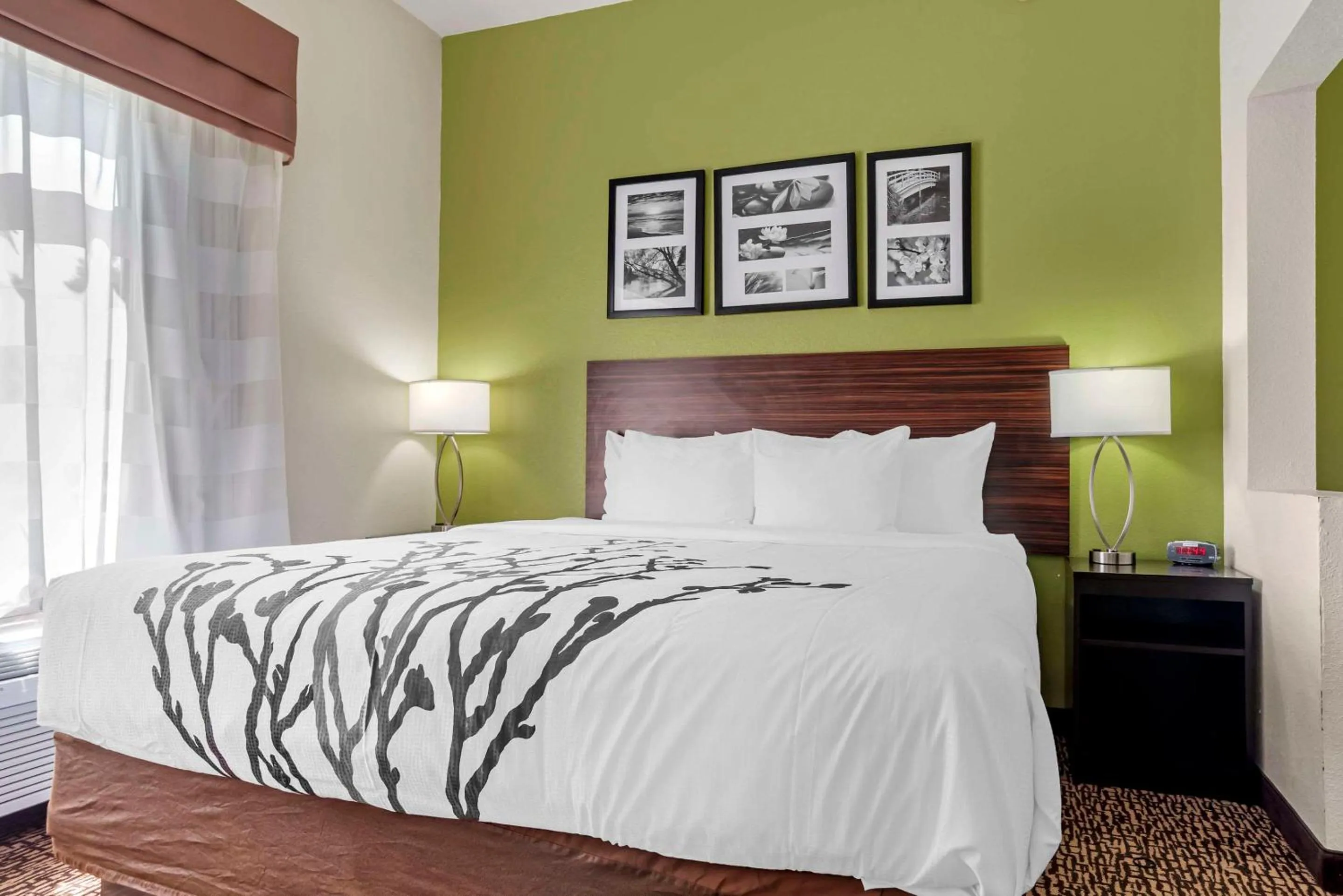 Bedroom, Bed in Sleep Inn & Suites Montgomery East I-85