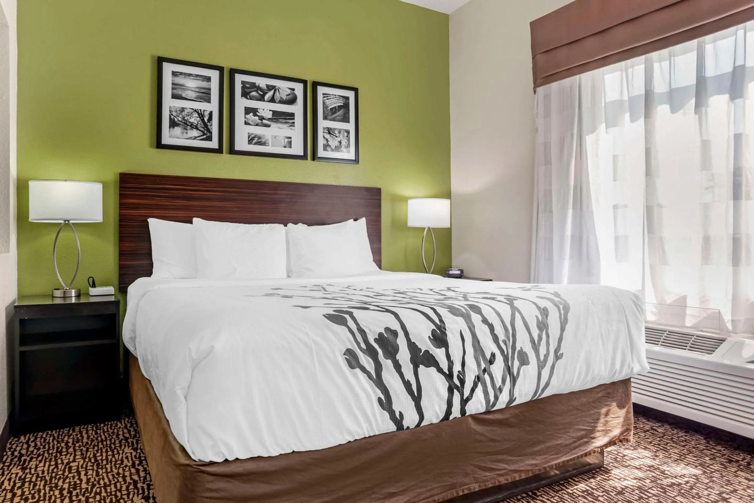 Bedroom, Bed in Sleep Inn & Suites Montgomery East I-85