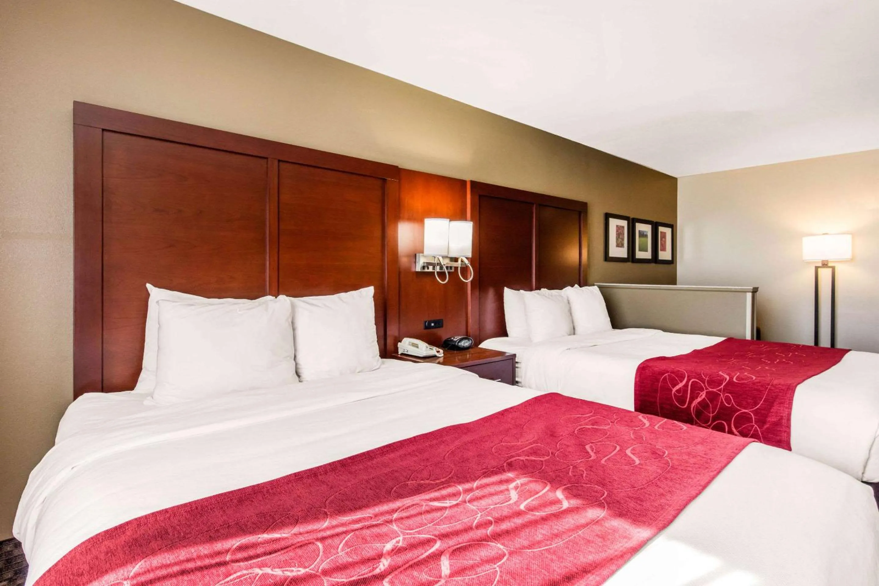 Photo of the whole room, Bed in Comfort Suites Tuscaloosa near University