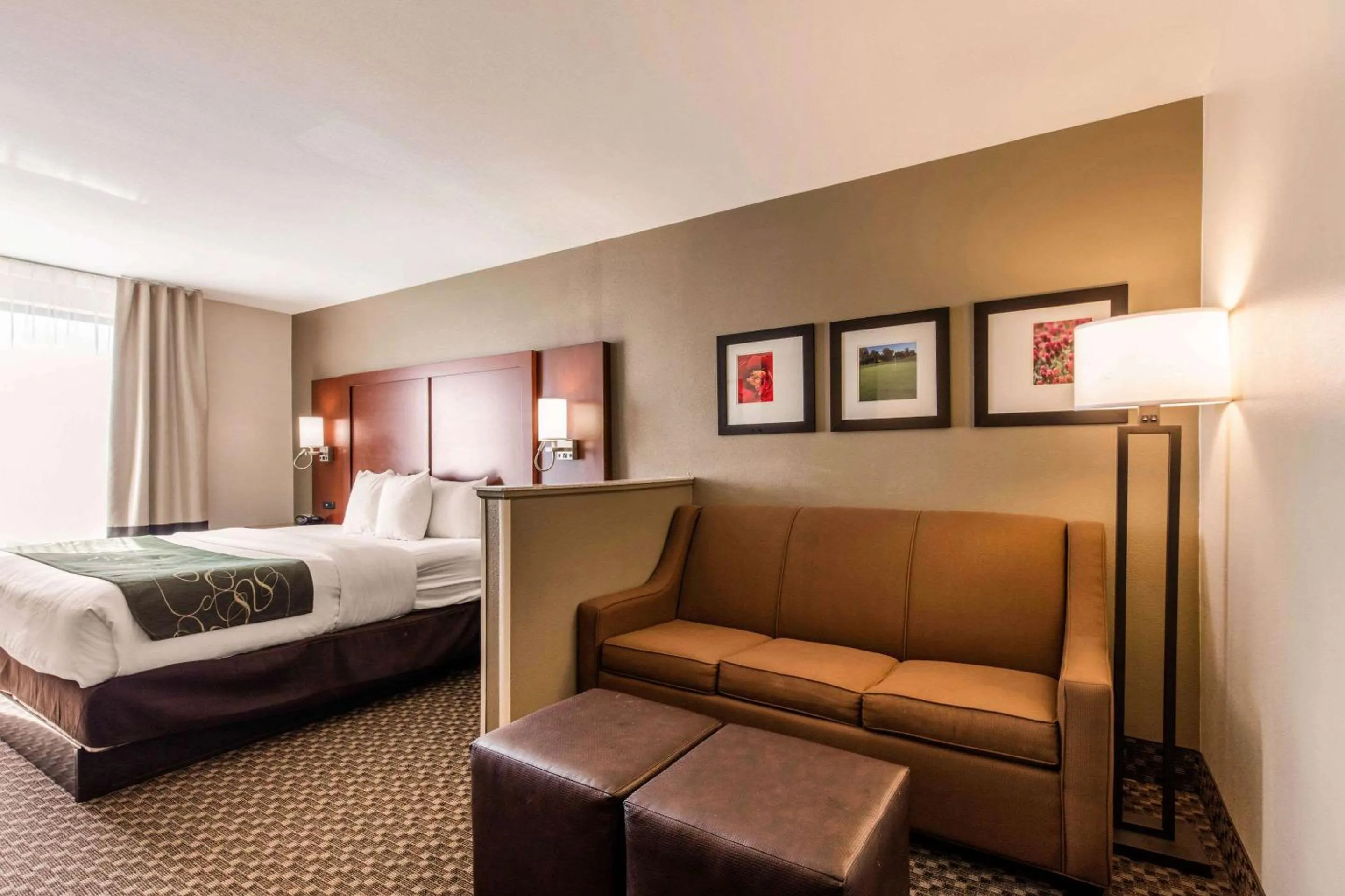 Bed in Comfort Suites Tuscaloosa near University