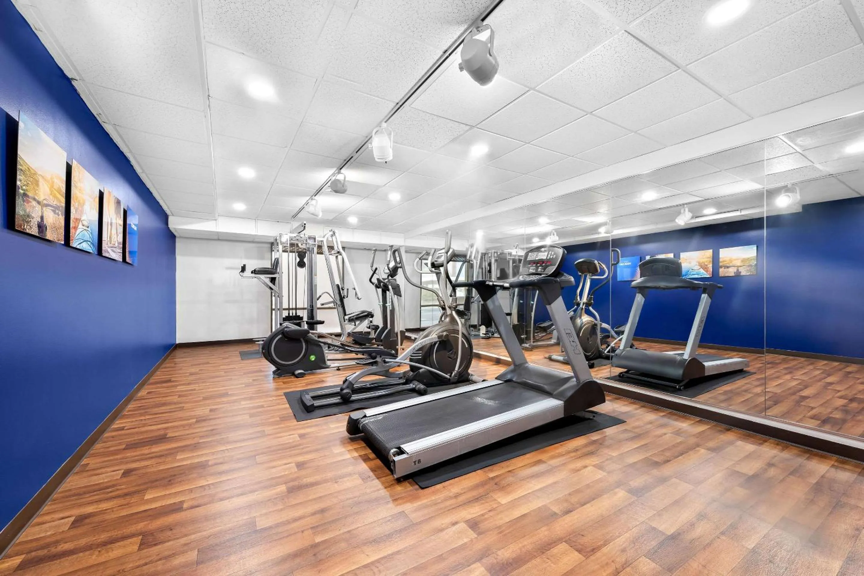 Fitness centre/facilities in Comfort Suites Cullman I-65 Exit 310
