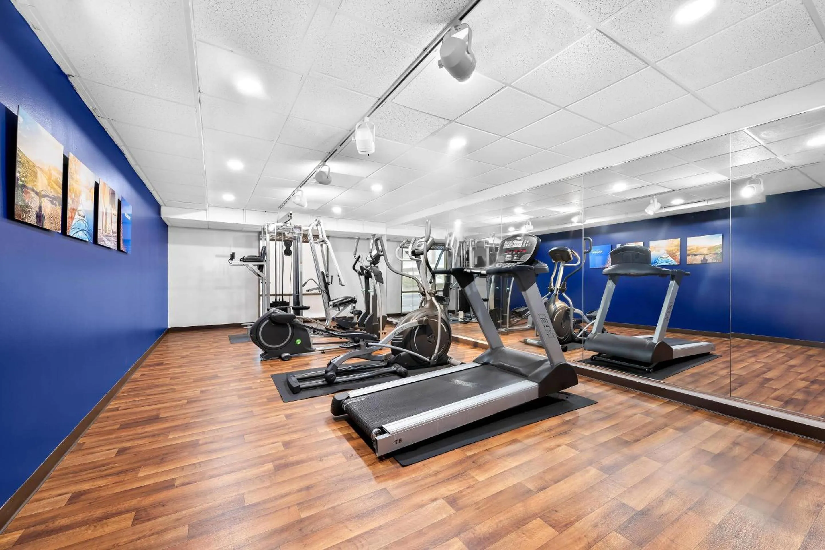 Fitness centre/facilities in Comfort Suites Cullman I-65 Exit 310