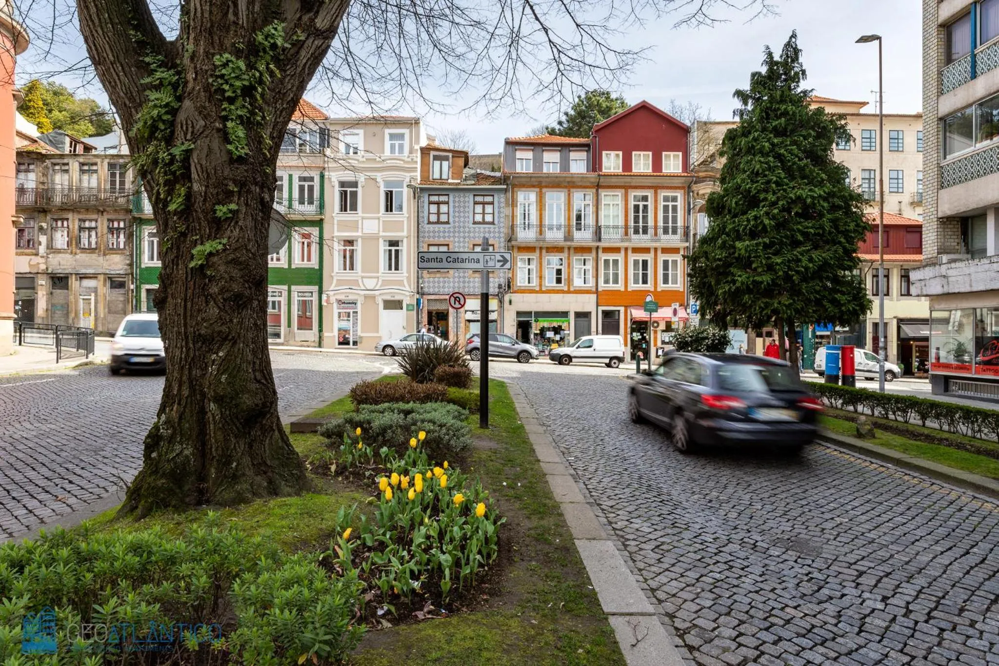 Property building in Geo Studios Santa Catarina