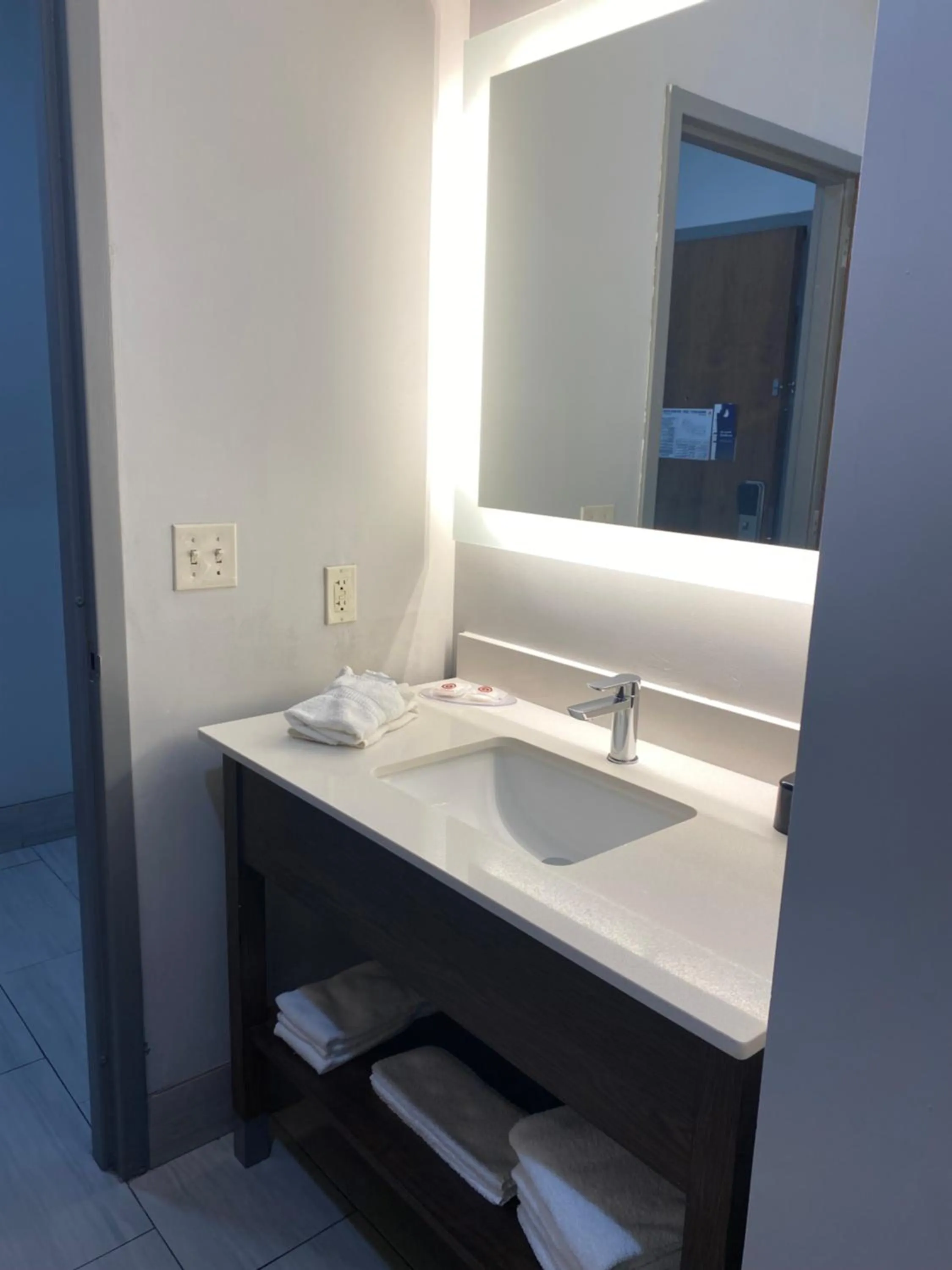 Bathroom in Comfort Inn & Suites Near Lake Guntersville
