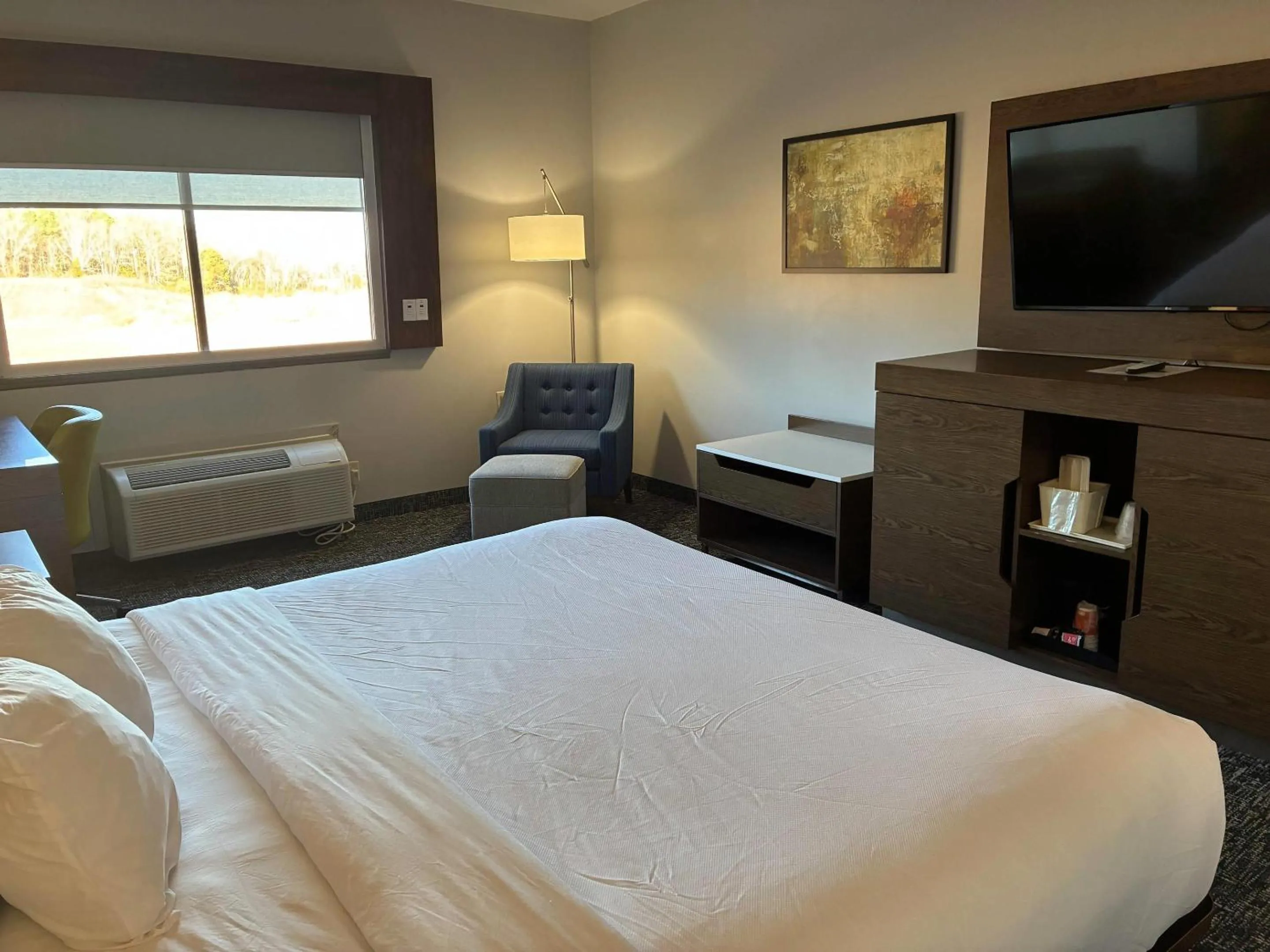 Bedroom, Bed in Comfort Inn & Suites Near Lake Guntersville