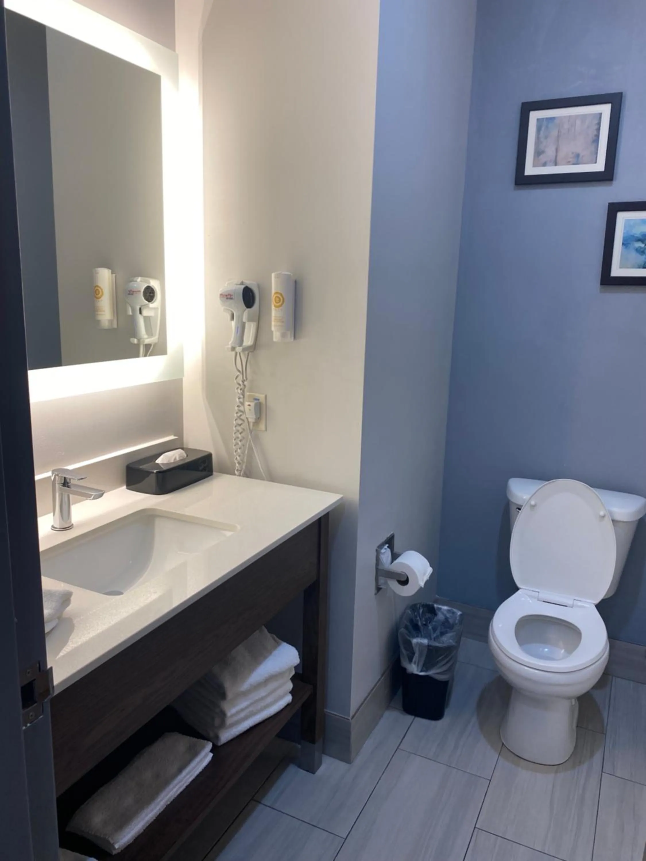 Toilet in Comfort Inn & Suites Near Lake Guntersville