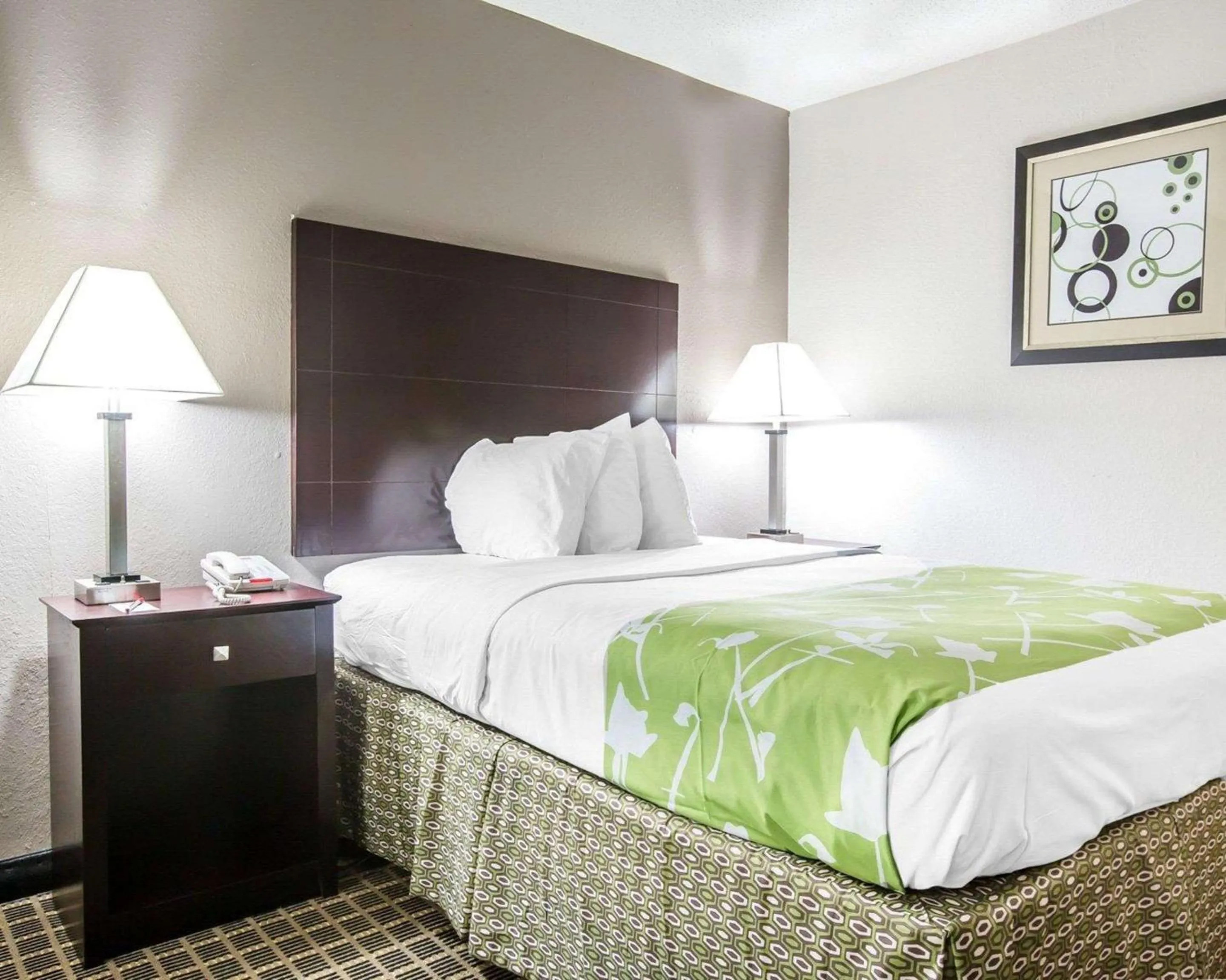 Photo of the whole room, Bed in Econo Lodge Birmingham - Hoover