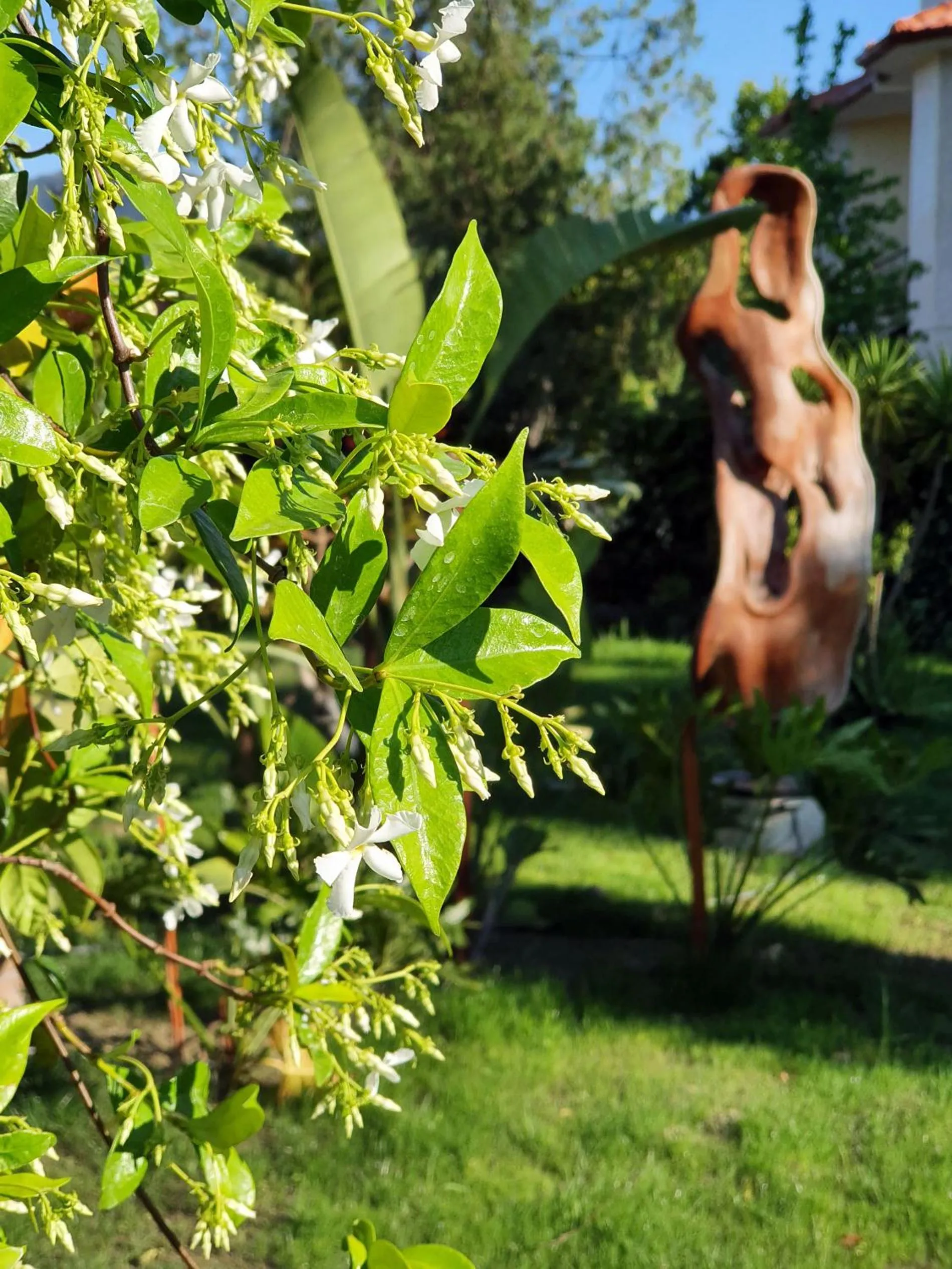 People in Murat Pasha Mansion