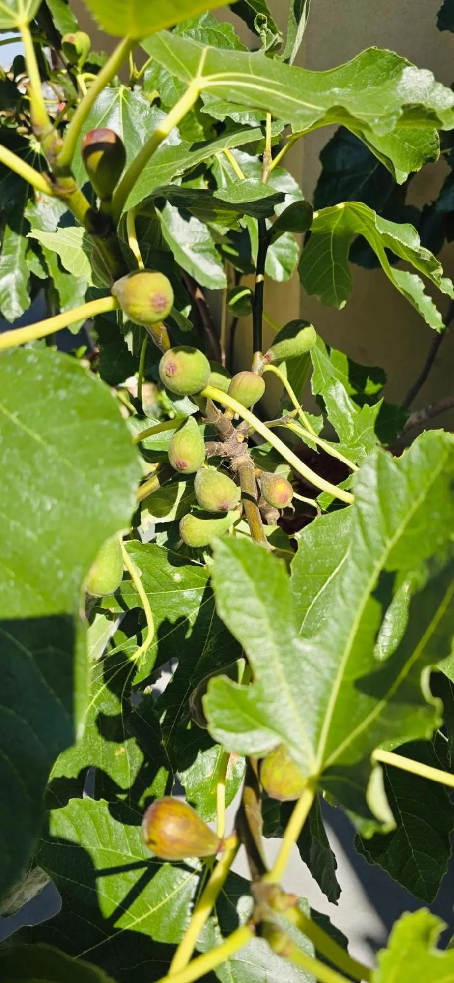 Garden in The People - Paris Bercy