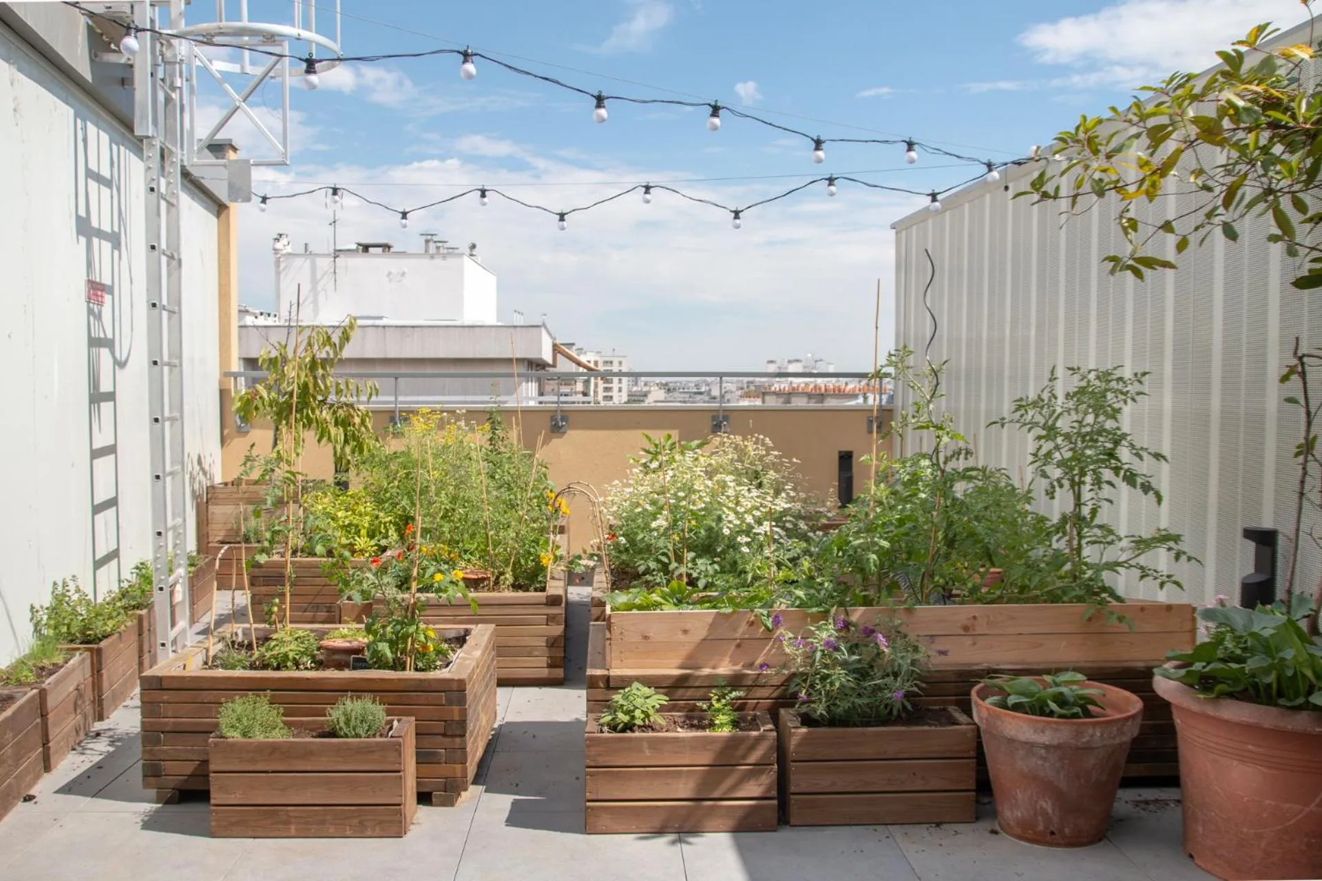 Garden in The People - Paris Bercy