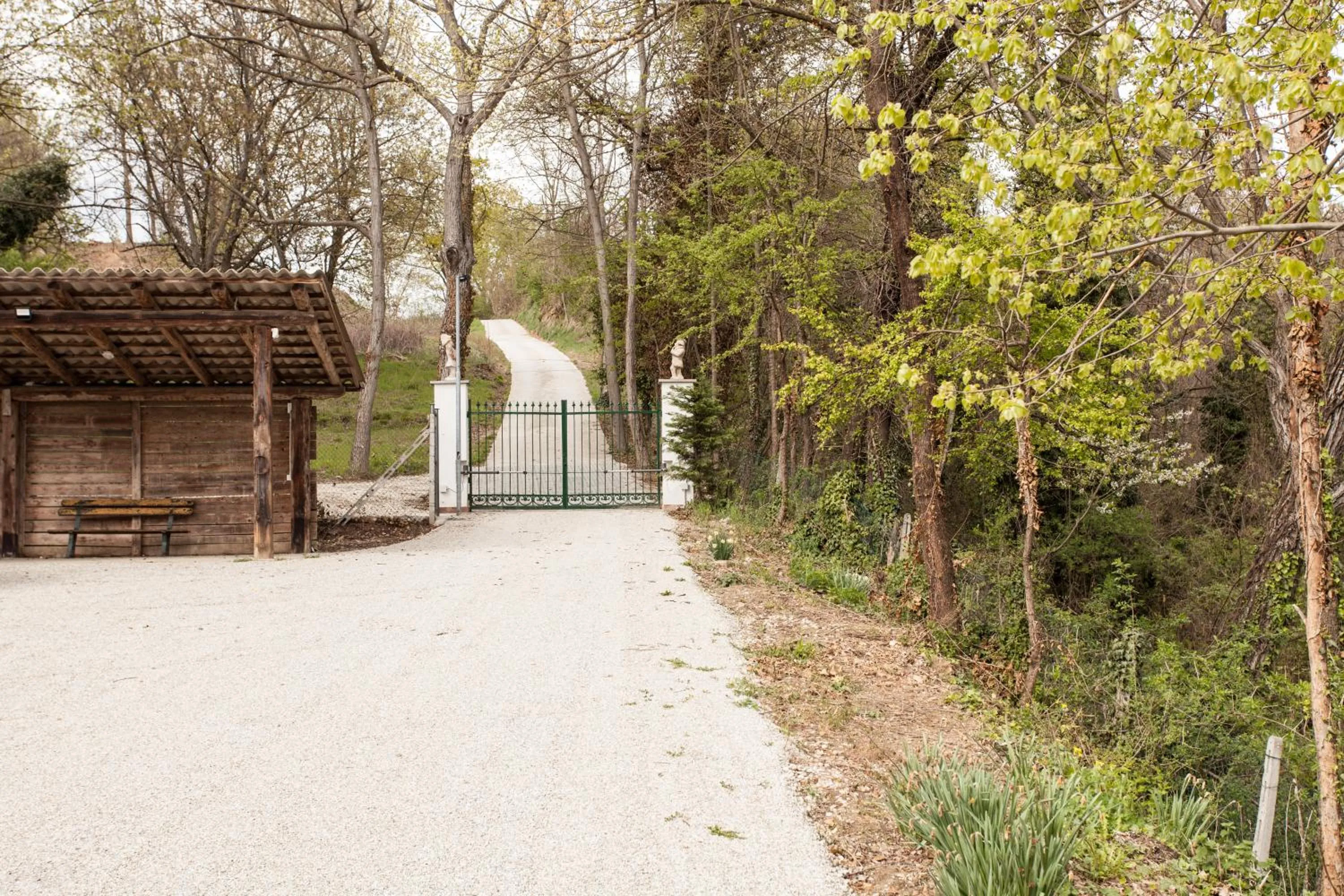 AMERICA NEI BOSCHI B&B