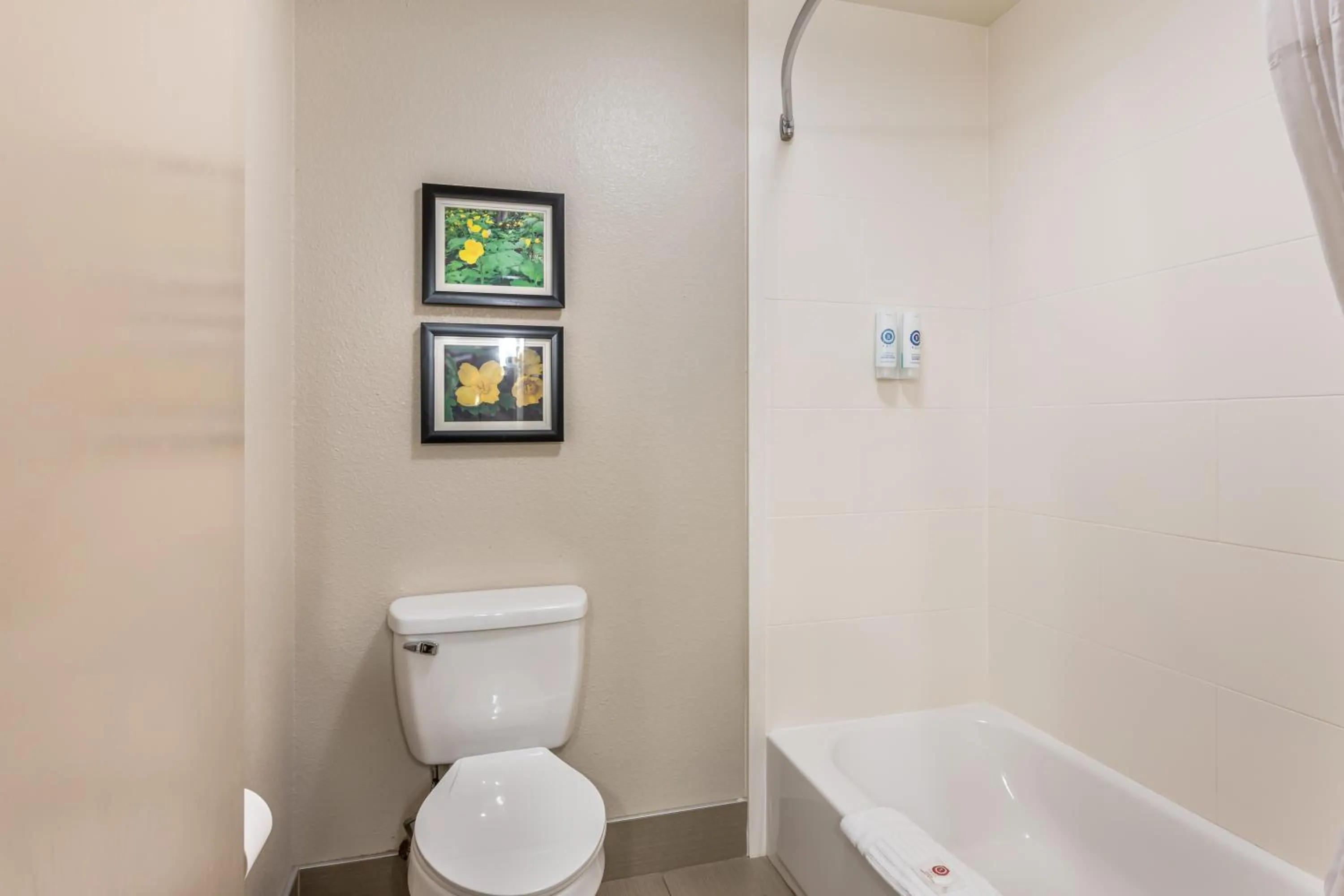 Comfort Inn & Suites Conway