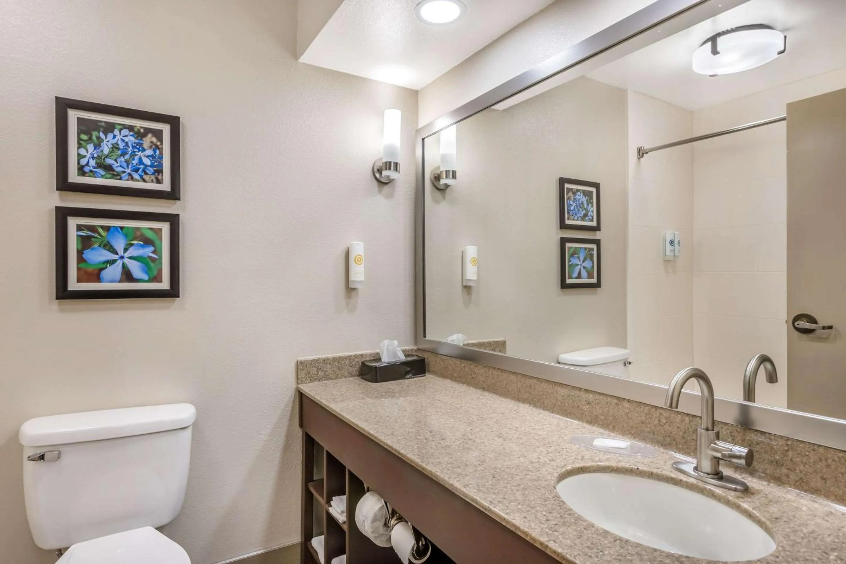 Bedroom in Comfort Inn & Suites Conway