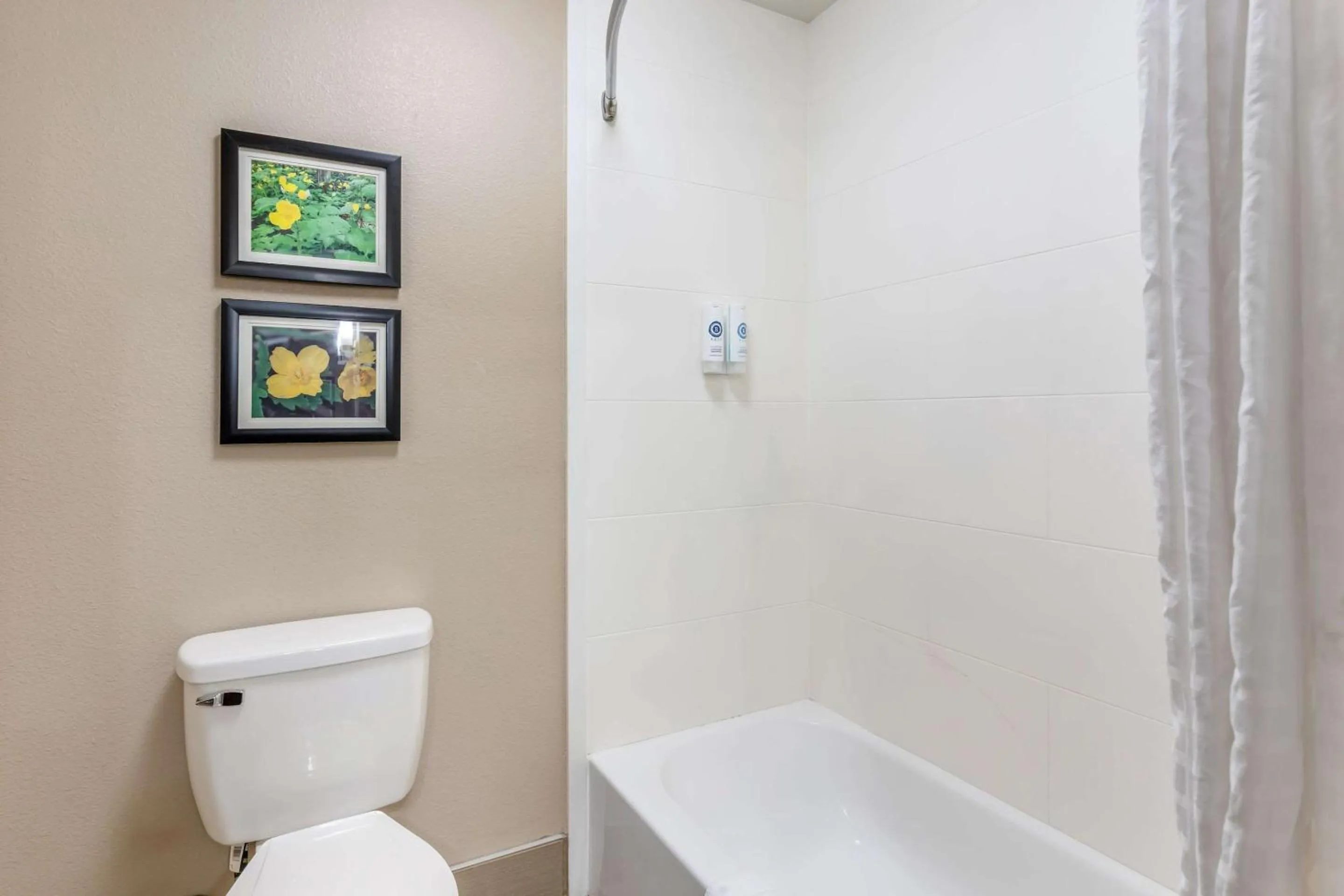 Bedroom in Comfort Inn & Suites Conway