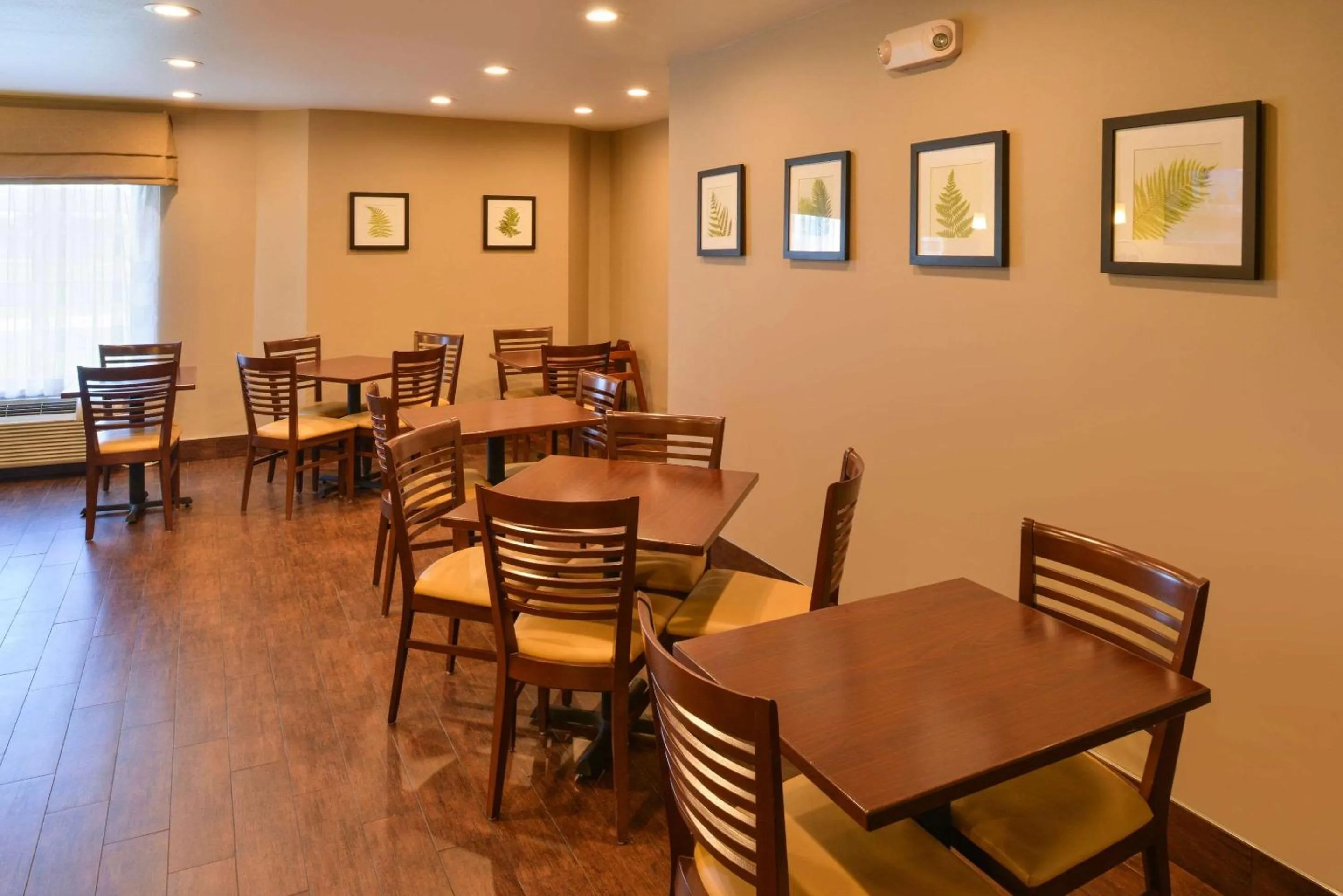 Restaurant/places to eat in Sleep Inn Fayetteville North