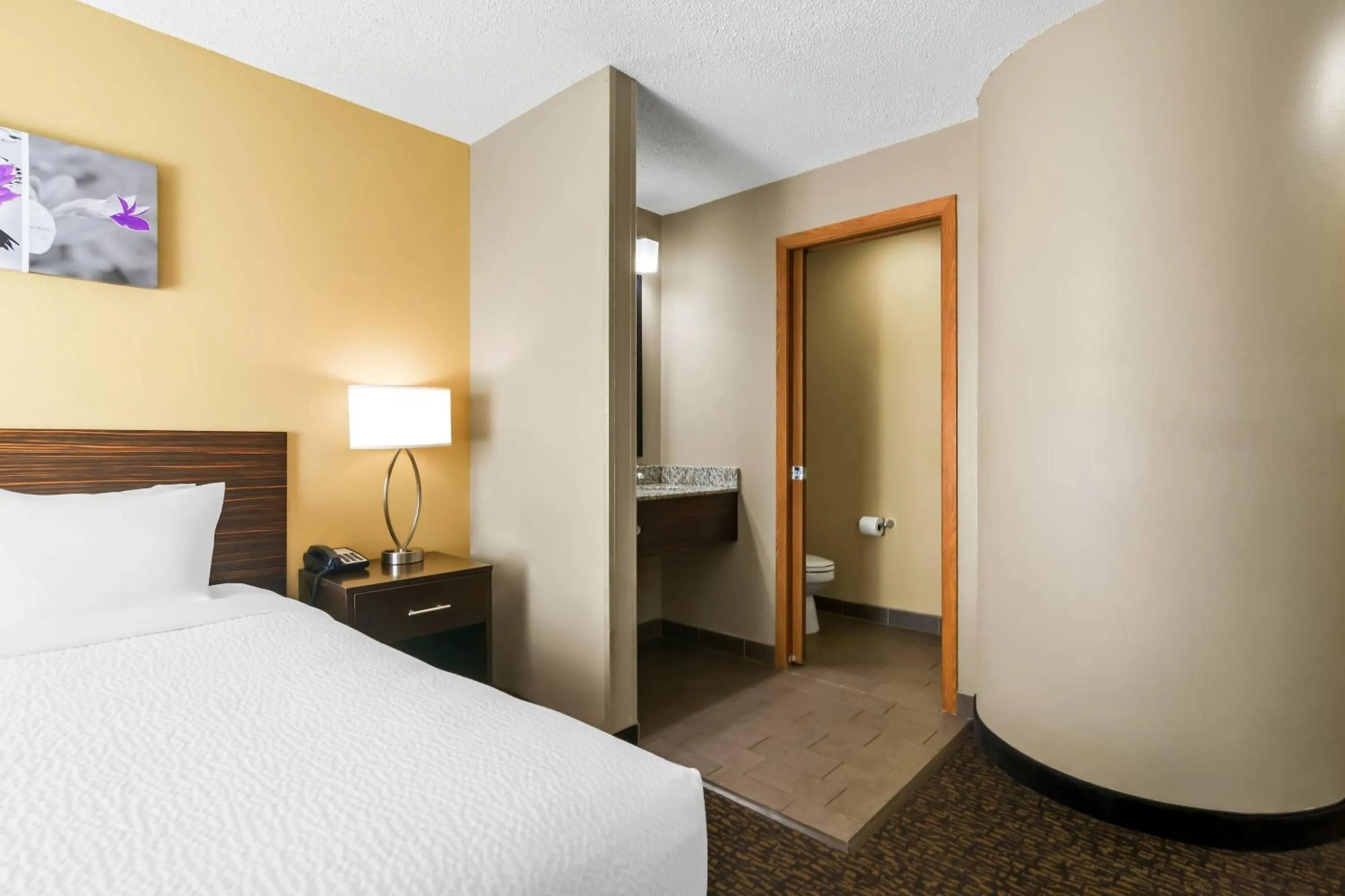 Bedroom, Bed in Sleep Inn Fayetteville North