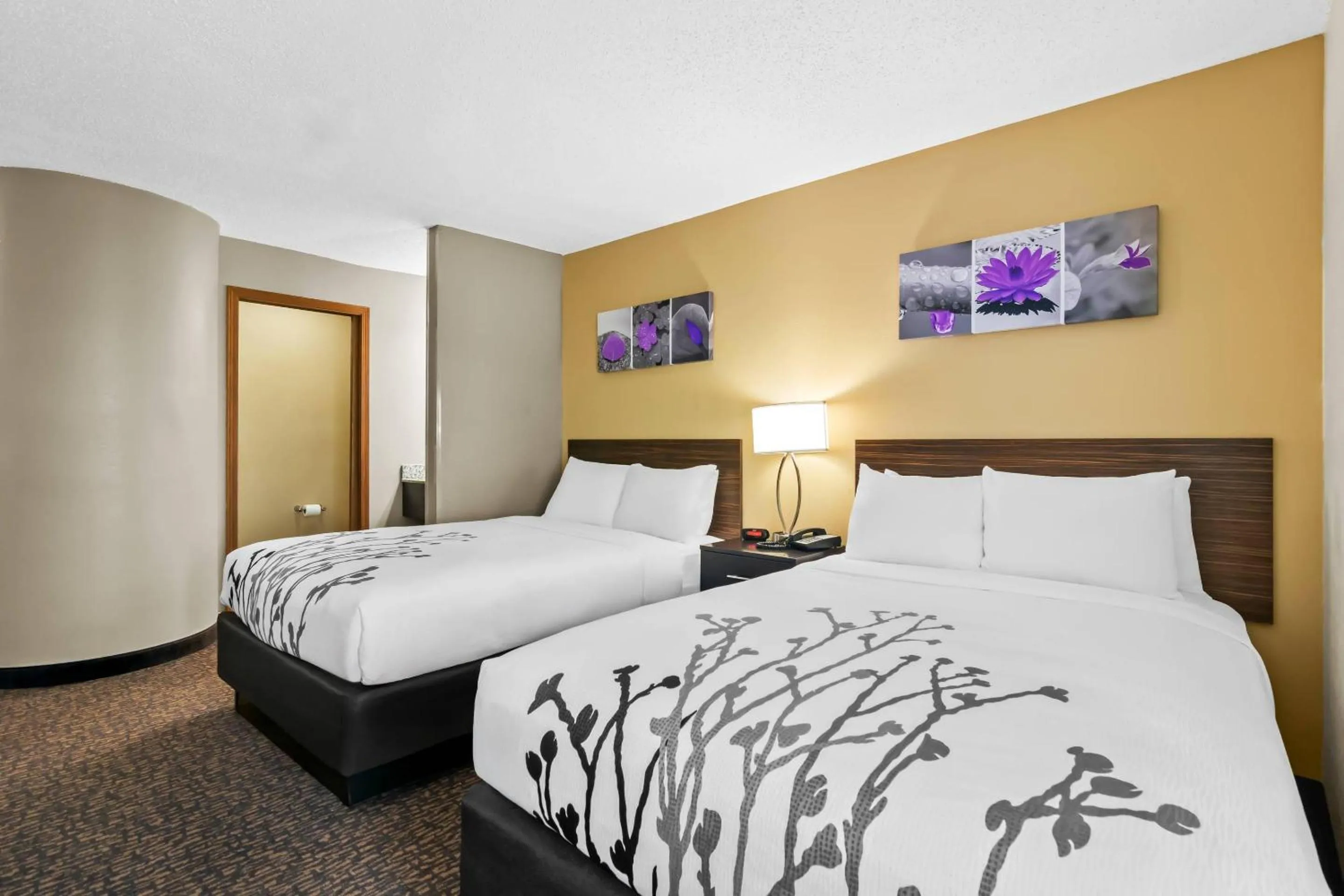 Bedroom, Bed in Sleep Inn Fayetteville North