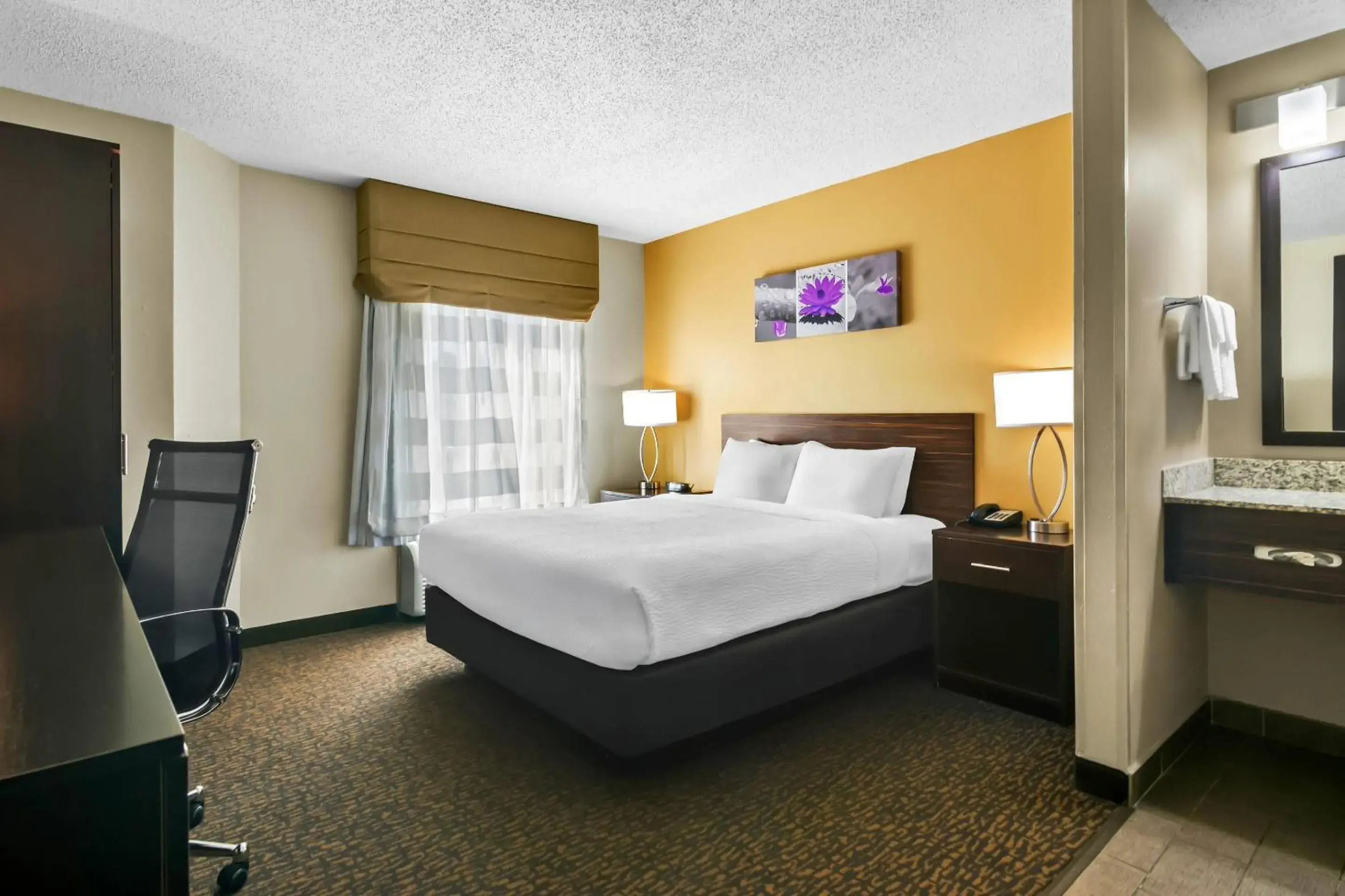 Queen Room - Non-Smoking in Sleep Inn Fayetteville North Queen Room - Non-Smoking in Sleep Inn Fayetteville North