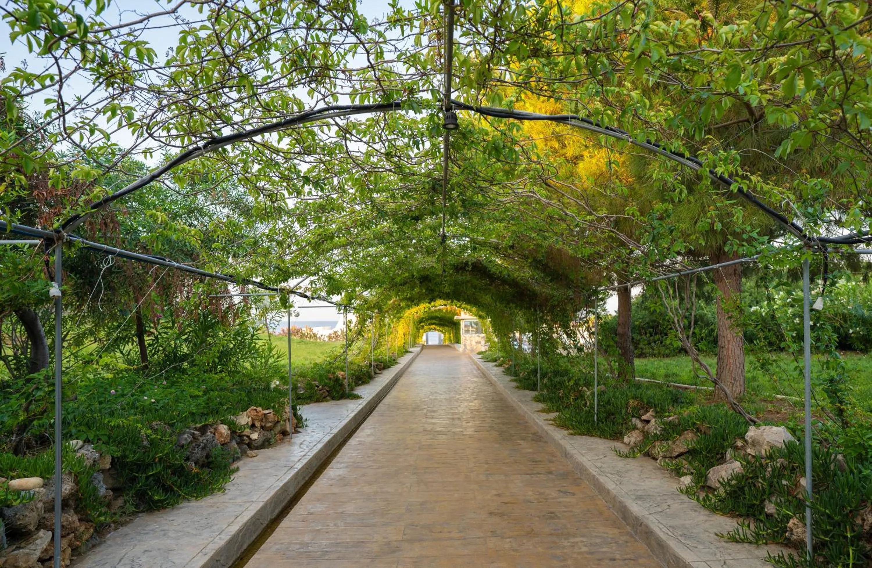 Spring in Master Family Club