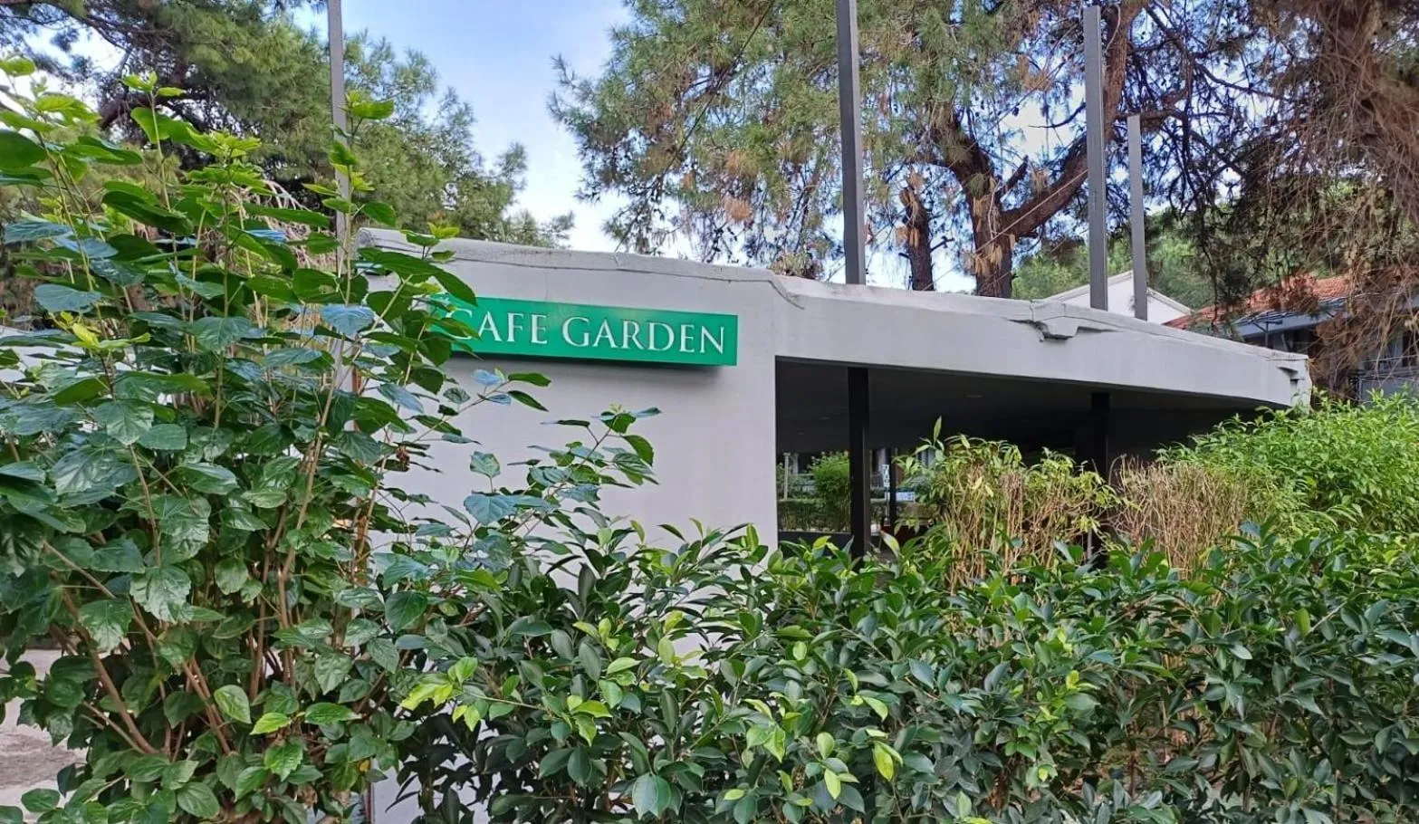 Property building in Master Family Club