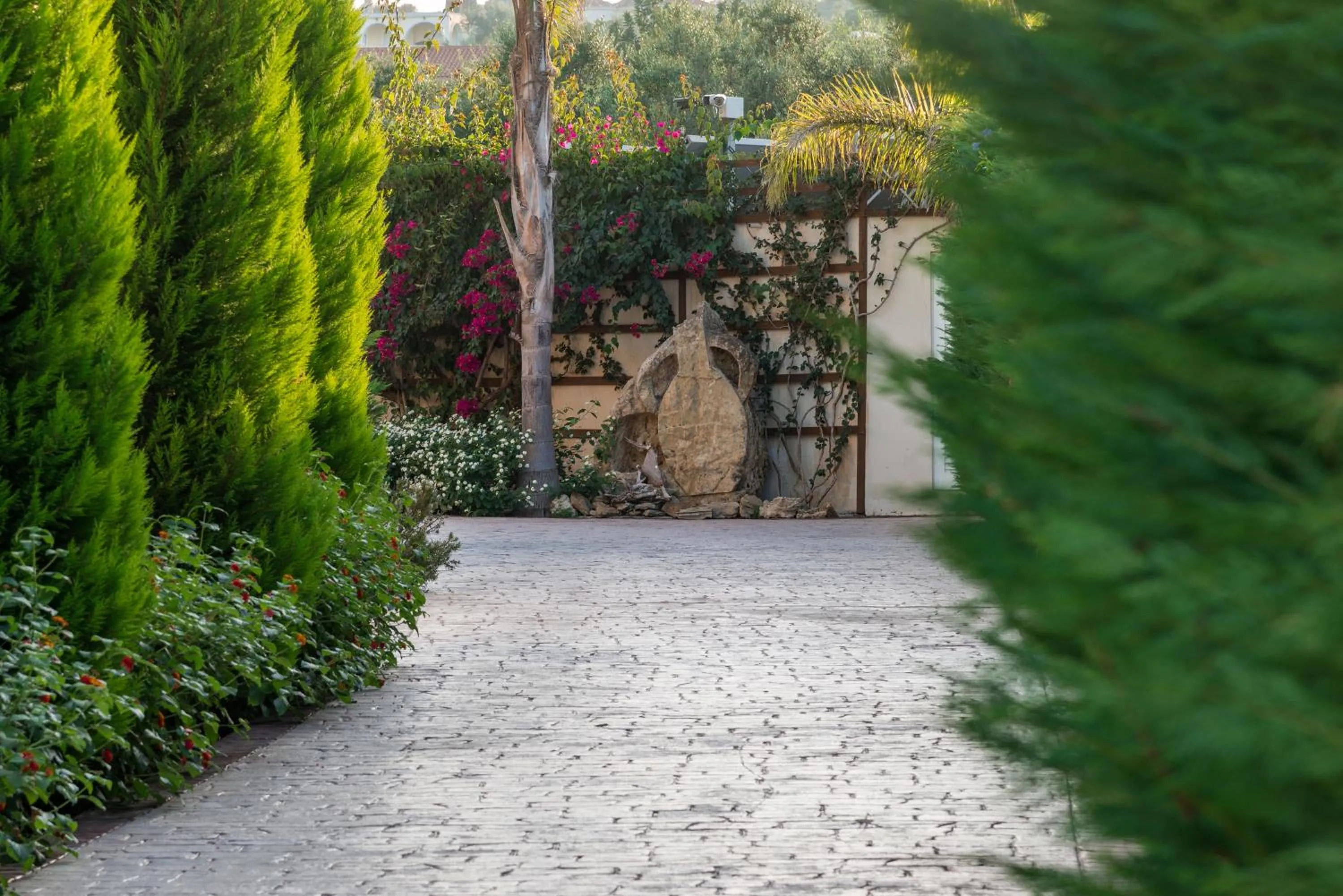 Natural landscape in Mamfredas Luxury Resort