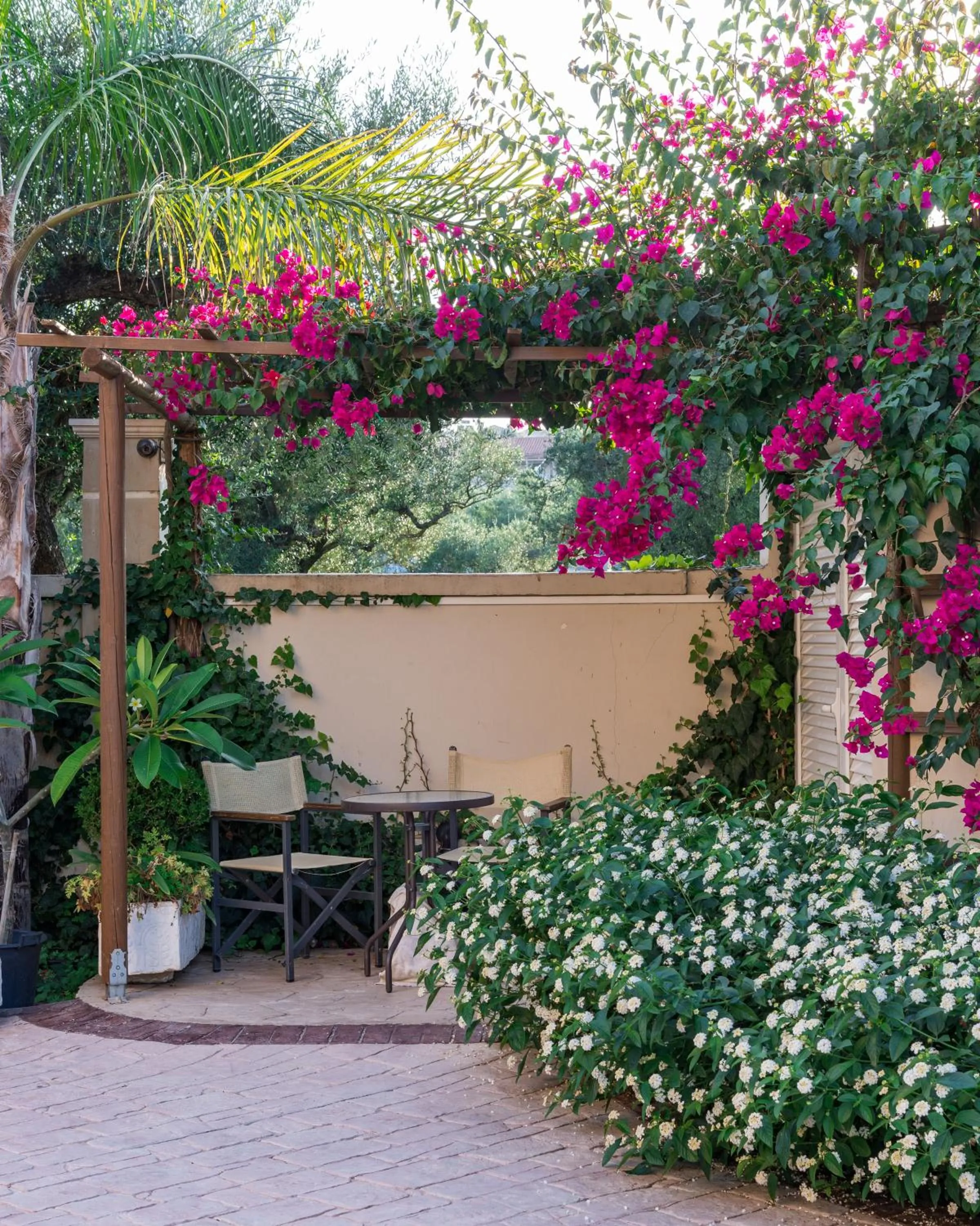 Garden in Mamfredas Luxury Resort