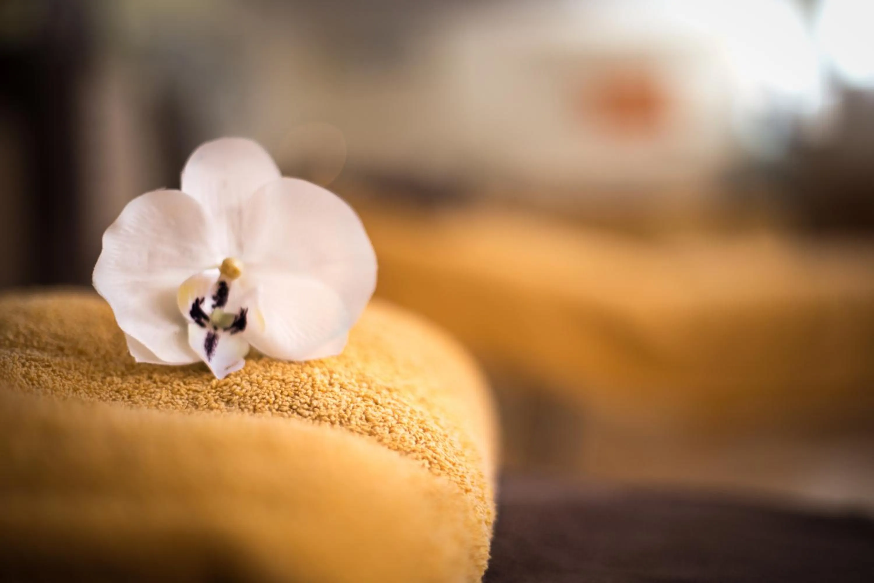 Other in Hotel Izán Cavanna