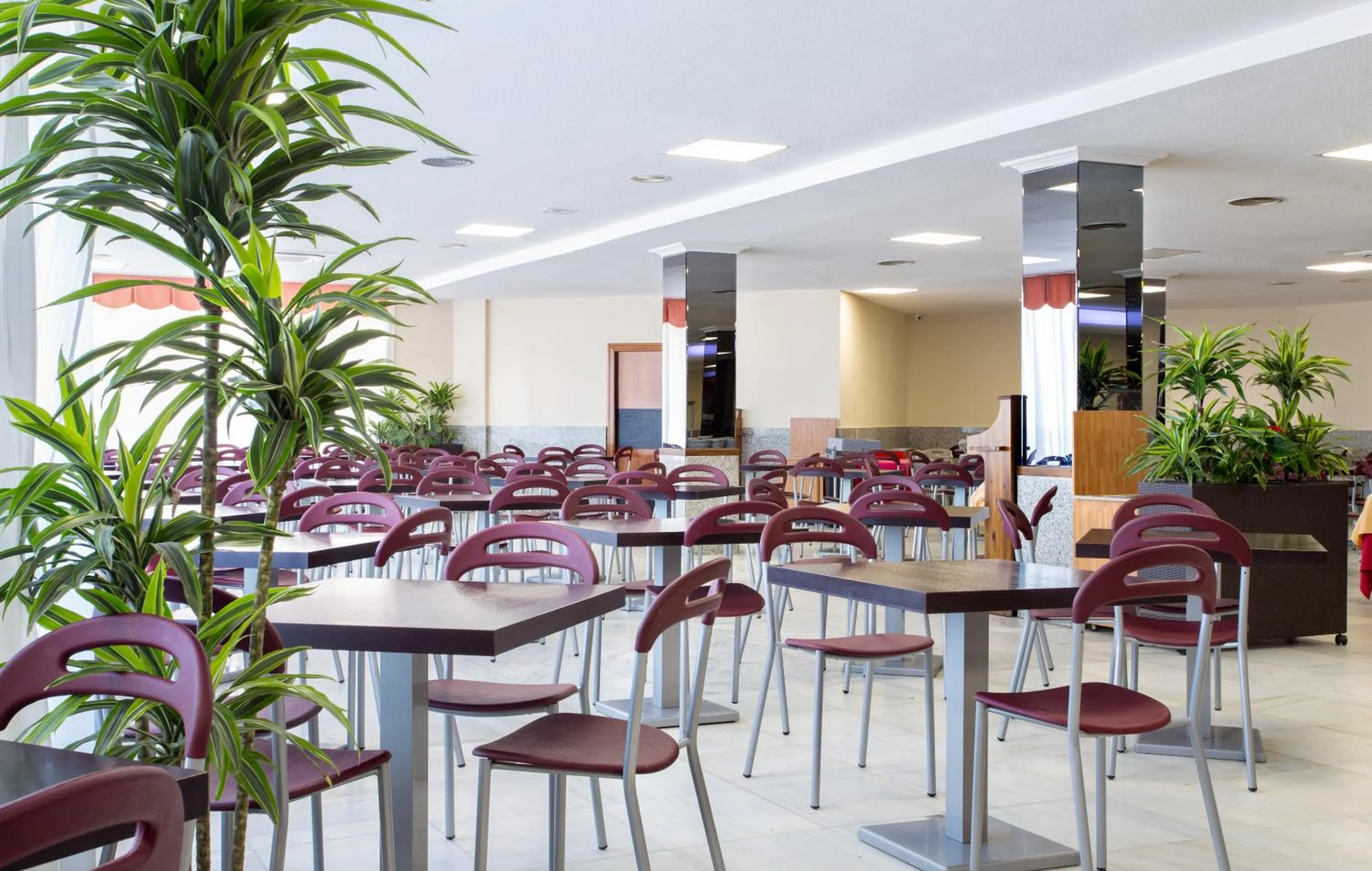 Restaurant/places to eat in Hotel Izán Cavanna