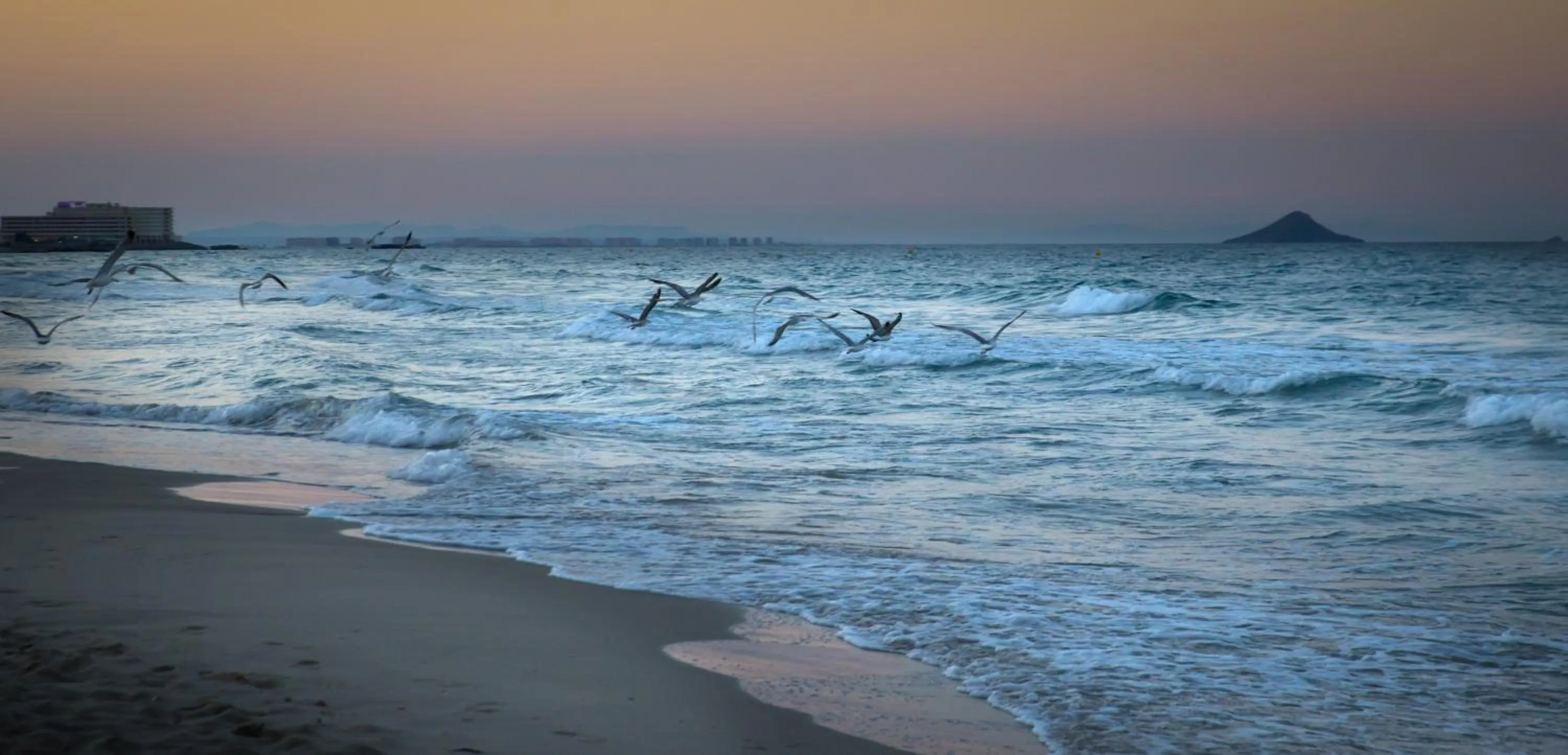 Beach in Hotel Izán Cavanna